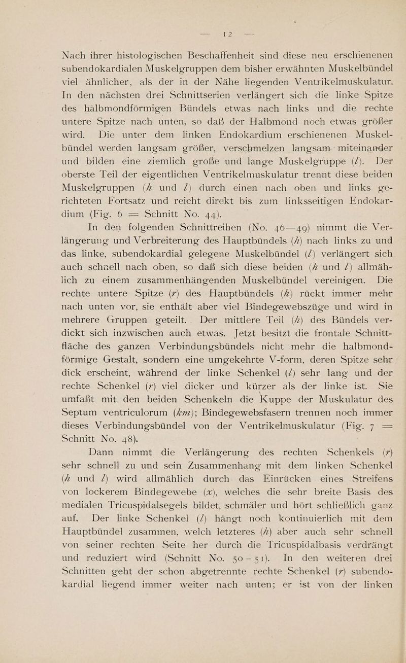 Nach ihrer histologischen Beschaffenheit sind diese neu erschienenen subendokardialen Muskelgruppen dem bisher erwähnten Muskelbündel viel ähnlicher, als der in der Nähe liegenden Ventrikelmuskulatur. In den nächsten drei Schnittserien verlängert sich die linke Spitze des halbmondförmigen Bündels etwas nach links und die rechte untere Spitze nach unten, so dald der Halbmond noch etwas größer wird. Die unter dem linken Endokardium erschienenen Muskel- bündel werden langsam größer, verschmelzen langsam. miteinander und bilden eine ziemlich große und lange Muskelgruppe (2). Der oberste Teil der eigentlichen Ventrikelmuskulatur trennt diese beiden Muskelgruppen (7 und Z/) durch einen nach oben und links ge- richteten Fortsatz und reicht direkt bis zum linksseitigen Endokar- dium (Fig. 6 = Schnitt No. 44). In den folgenden Schnittreihen (No. 46—49) nimmt die Ver- längerung und Verbreiterung des Hauptbündels (7) nach links zu und das linke, subendokardial gelegene Muskelbündel (/) verlängert sich auch schnell nach oben, so daß sich diese beiden (7 und /) allmäh- lich zu einem zusammenhängenden Muskelbündel vereinigen. Die rechte untere Spitze (7) des Hauptbündels (7) rückt immer mehr nach unten vor, sie enthält aber viel Bindegewebszüge und wird in mehrere Gruppen geteilt. Der mittlere Teil (7) des Bündels ver- dickt sich inzwischen auch etwas. Jetzt besitzt die frontale Schnitt- fläche des ganzen Verbindungsbündels nicht mehr die halbmond- förmige Gestalt, sondern eine umgekehrte V-form, deren Spitze sehr dick erscheint, während der linke Schenkel (/) sehr lang und der rechte Schenkel (z) viel dicker und kürzer als der linke ist. Sie umfaßt mit den beiden Schenkeln die Kuppe der Muskulatur des Septum ventriculorum (#2); Bindegewebsfasern trennen noch immer dieses Verbindungsbündel von der Ventrikelmuskulatur (Fig. 7 —= Schnitt No. 48). Dann nimmt die Verlängerung des rechten Schenkels (7) sehr schnell zu und sein Zusammenhang mit dem linken Schenkel ( und /) wird allmählich durch das FEinrücken eines Streifens von lockerem Bindegewebe (x), welches die sehr breite Basis des medialen Tricuspidalsegels bildet, schmäler und hört schließlich ganz auf. Der linke Schenkel (/) hängt noch kontinuierlich mit dem Hauptbündel zusammen, welch letzteres () aber auch sehr schnell von seiner rechten Seite her durch die Iricuspidalbasis verdrängt und reduziert wird (Schnitt No. 50-51). In den weiteren drei Schnitten geht der schon abgetrennte rechte Schenkel (7) subendo- kardial liegend immer weiter nach unten; er ist von der linken