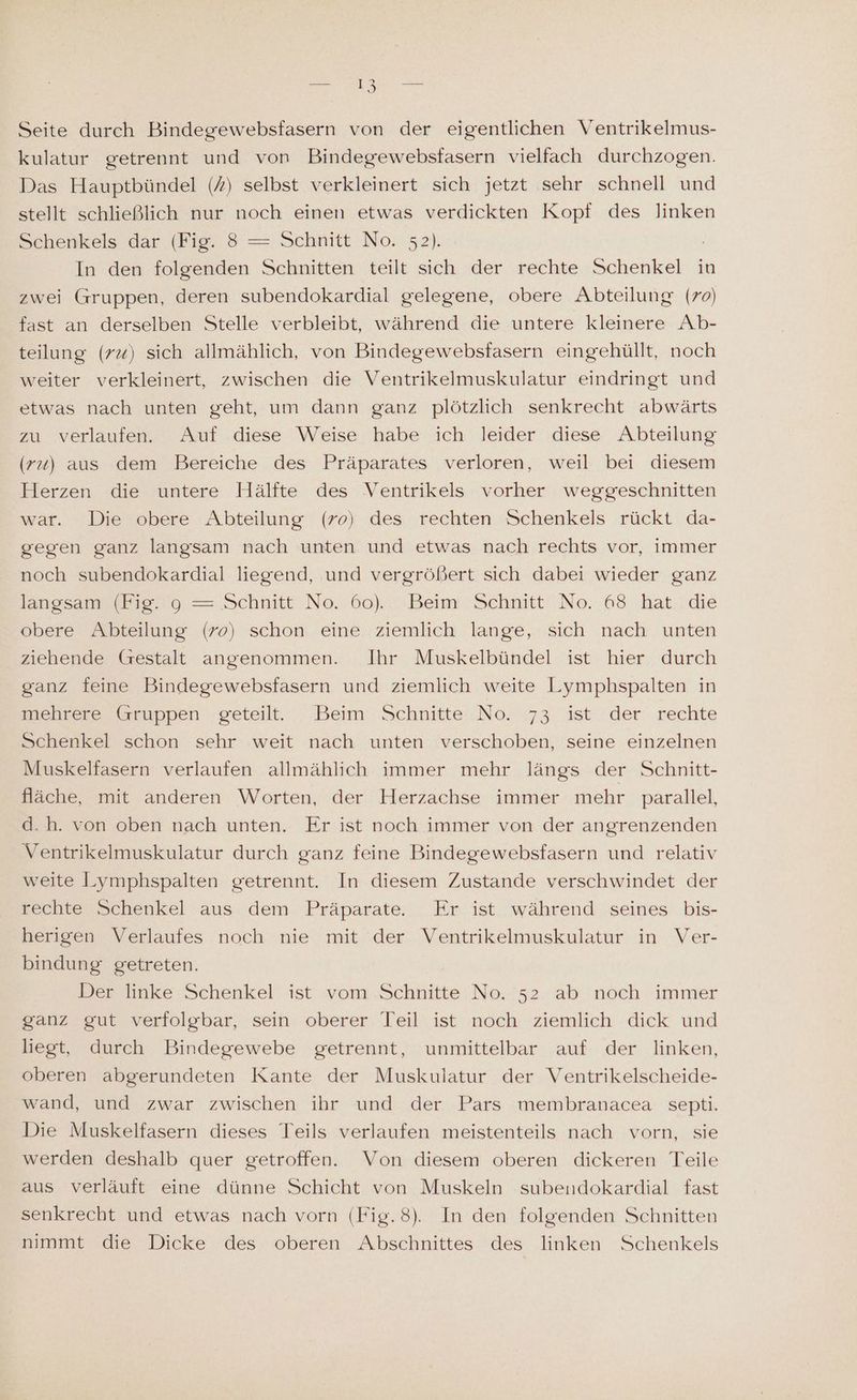 RR 8) Seite durch Bindegewebsfasern von der eigentlichen Ventrikelmus- kulatur getrennt und von Bindegewebsfasern vielfach durchzogen. Das Hauptbündel () selbst verkleinert sich jetzt sehr schnell und stellt schließlich nur noch einen etwas verdickten Kopf des linken Schenkels dar (Fig. 8 = Schnitt No. 52). | In den folgenden Schnitten teilt sich der rechte Schenkel in zwei Gruppen, deren subendokardial gelegene, obere Abteilung (70) fast an derselben Stelle verbleibt, während die untere kleinere Ab- teilung (7) sich allmählich, von Bindegewebsfasern eingehüllt, noch weiter verkleinert, zwischen die Ventrikelmuskulatur eindringt und etwas nach unten geht, um dann ganz plötzlich senkrecht abwärts zu verlaufen. Auf diese Weise habe ich leider diese Abteilung (ru) aus dem Bereiche des Präparates verloren, weil bei diesem Herzen die untere Hälfte des Ventrikels vorher weggeschnitten war. Die obere Abteilung (70) des rechten Schenkels rückt da- gegen ganz langsam nach unten und etwas nach rechts vor, immer noch subendokardial liegend, und vergrößert sich dabei wieder ganz langsam (Fig. 9 = Schnitt No. 60). Beim Schnitt No. 68 hat die obere Abteilung (70) schon eine ziemlich lange, sich nach unten ziehende Gestalt angenommen. Ihr Muskelbündel ist hier durch ganz feine Bindegewebsfasern und ziemlich weite Lymphspalten in mehrere Gruppen geteilt. Beim ‚Schnitte No. 73 ist der rechte Schenkel schon sehr weit nach unten verschoben, seine einzelnen Muskelfasern verlaufen allmählich immer mehr längs der Schnitt- fläche, mit anderen Worten, der Herzachse immer mehr parallel, d.h. von oben nach unten. Er ist noch immer von der angrenzenden Ventrikelmuskulatur durch ganz feine Bindegewebsfasern und relativ weite Lymphspalten getrennt. In diesem Zustande verschwindet der rechte Schenkel aus dem Präparate. Er ist während seines bis- herigen Verlaufes noch nie mit der Ventrikelmuskulatur in Ver- bindung getreten. Der linke Schenkel ist vom Schnitte No. 52 ab noch immer ganz gut verfolgbar, sein oberer Teil ist noch ziemlich dick und liegt, durch Bindegewebe getrennt, unmittelbar auf der linken, oberen abgerundeten Kante der Muskulatur der Ventrikelscheide- wand, und zwar zwischen ihr und der Pars membranacea_ septi. Die Muskelfasern dieses Teils verlaufen meistenteils nach vorn, sie werden deshalb quer getroffen. Von diesem oberen dickeren Teile aus verläuft eine dünne Schicht von Muskeln subendokardial fast senkrecht und etwas nach vorn (Fig.8). In den folgenden Schnitten nimmt die Dicke des oberen Abschnittes des linken Schenkels