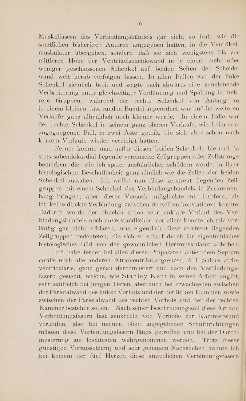 ae er Muskelfasern des Verbindungsbündels gar nicht so früh, wie die sämtlichen bisherigen Autoren angegeben hatten, in die Ventrikel- muskulatur übergehen, sondern daß sie sich wenigstens bis zur mittleren Höhe der Ventrikelscheidewand in je einem mehr oder weniger geschlossenen Schenkel auf beiden Seiten der Scheide- wand weit herab verfolgen lassen. In allen Fällen war der linke Schenkel ziemlich breit und zeigte nach abwärts eine zunehmende Verbreiterung unter gleichzeitiger Verdünnung und Spaltung in meh- rere Gruppen, während der rechte Schenkel von Anfang an in einem kleinen, fast runden Bündel angeordnet war und im weiteren Verlaufe ganz allmählich noch kleiner wurde. In einem Falle war der rechte Schenkel in seinem ganz oberen Verlaufe, wie beim vor- angegangenen Fall, in zwei Äste geteilt, die sich aber schon nach kurzem Verlaufe wieder vereinigt hatten. Ferner konnte man außer diesen beiden Schenkeln hie und da stets subendokardial liegende vereinzelte Zellgruppen oder Zellstränge bemerken, die, wie ich später ausführlicher schildern werde, in ihrer histologischen Beschaffenheit ganz ähnlich wie die Zellen der beiden Schenkel aussahen. Ich wollte nun diese zerstreut liegenden Zell- gruppen mit einem Schenkel des Verbindungsbündels in Zusammen- hang bringen, aber dieser Versuch mißglückte mir insofern, als ich keine direkte Verbindung zwischen denselben konstatieren konnte. Dadurch wurde der ohnehin schon sehr unklare Verlauf des Ver- bindungsbündels noch unverständlicher, vor allem konnte ich mir vor- läufiig gar nicht erklären, was eigentlich diese zerstreut liegenden Zellgruppen bedeuteten, die sich so scharf durch ihr eigentümliches histologisches Bild von der gewöhnlichen Herzmuskulatur abhoben. Ich habe ferner bei allen diesen Präparaten außer dem Septum cordis noch alle anderen Atrioventrikulargrenzen, d. i. Sulcus atrio- ventricularis, ganz genau durchmustert und nach den Verbindungs- fasern gesucht, welche, wie Stanley Kent in seiner Arbeit angibt, sehr zahlreich bei jungen Tieren, aber auch bei erwachsenen zwischen der Parietalwand des linken Vorhofs und der der linken Kammer, sowie zwischen der Parietalwand des rechten Vorhofs und der der rechten Kammer bestehen sollen. Nach seiner Beschreibung soll diese Art von Verbindungsfasern fast senkrecht von Vorhofs- zur Kammerwand verlaufen, also bei meinen oben angegebenen Schnittrichtungen müssen diese Verbindungsfasern längs getroffen und bei der Durch- musterung am leichtesten wahrgenommen werden. Trotz dieser günstigen Voraussetzung und sehr genauem Nachsuchen konnte ich bei keinem der fünf Herzen diese angeblichen Verbindungsfasern