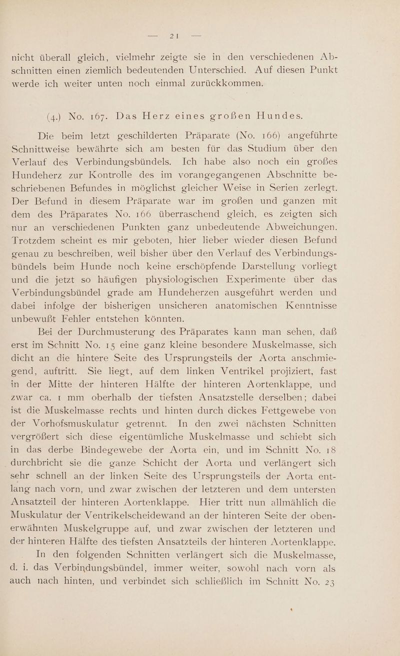 schnitten einen ziemlich bedeutenden Unterschied. Auf diesen Punkt werde ich weiter unten noch einmal zurückkommen. Nee: Das-Herz eines großen Ilundes. Die beim letzt geschilderten Präparate (No. 166) angeführte Schnittweise bewährte sich am besten für das Studium über den Verlauf des Verbindungsbündels. Ich habe also noch ein großes Hundeherz zur Kontrolle des im vorangegangenen Abschnitte be- schriebenen Befundes in möglichst gleicher Weise in Serien zerlegt. Der Befund in diesem Präparate war im großen und ganzen mit dem des Präparates No. 166 überraschend gleich, es zeigten sich nur an verschiedenen Punkten ganz unbedeutende Abweichungen. Trotzdem scheint es mir geboten, hier lieber wieder diesen Befund genau zu beschreiben, weil bisher über den Verlauf des Verbindungs- bündels beim Hunde noch keine erschöpfende Darstellung vorliegt und die jetzt so häufigen physiologischen Experimente über das Verbindungsbündel grade am Hundeherzen ausgeführt werden und dabei infolge der bisherigen unsicheren anatomischen Kenntnisse unbewußt Fehler entstehen könnten. Bei der Durchmusterung des Präparates kann man sehen, daß erst im Schnitt No. ı5 eine ganz kleine besondere Muskelmasse, sich dicht an die hintere Seite des Ursprungsteils der Aorta anschmie- gend, auftritt. Sie liegt, auf dem linken Ventrikel projiziert, fast in der Mitte der hinteren Hälfte der hinteren Aortenklappe, und zwar ca. ı mm oberhalb der tiefsten Ansatzstelle derselben; dabei ist die Muskelmasse rechts und hinten durch dickes Fettgewebe von der Vorhofsmuskulatur getrennt. In den zwei nächsten Schnitten vergrößert sich diese eigentümliche Muskelmasse und schiebt sich in das derbe Bindegewebe der Aorta ein, und im Schnitt No. 18 _ durchbricht sie die ganze Schicht der Aorta und verlängert sich sehr schnell an der linken Seite des Ursprungsteils der Aorta ent- lang nach vorn, und zwar zwischen der letzteren und dem untersten Ansatzteil der hinteren Aortenklappe. Hier tritt nun allmählich die Muskulatur der Ventrikelscheidewand an der hinteren Seite der oben- erwähnten Muskelgruppe auf, und zwar zwischen der letzteren und der hinteren Hälfte des tiefsten Ansatzteils der hinteren Aortenklappe. In den folgenden Schnitten verlängert sich die Muskelmasse, d. i. das Verbindungsbündel, immer weiter, sowohl nach vorn als auch nach hinten, und verbindet sich schließlich im Schnitt No. 23