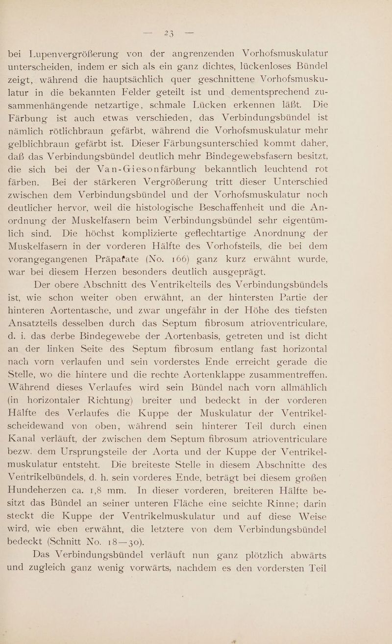 bei lupenvergrößerung von der angrenzenden Vorhofsmuskulatur unterscheiden, indem er sich als ein ganz dichtes, lückenloses Bündel zeigt, während die hauptsächlich quer geschnittene Vorhofsmusku- latur in die bekannten Felder geteilt ist und dementsprechend zu- sammenhängende netzartige, schmale Lücken erkennen läßt. Die Färbung ist auch etwas verschieden, das Verbindungsbündel ist nämlich rötlichbraun gefärbt, während die Vorhofsmuskulatur mehr gelblichbraun gefärbt ist. Dieser Färbungsunterschied kommt daher, daß das Verbindungsbündel deutlich mehr Bindegewebsfasern besitzt, die sich bei der Van-Giesonfärbung bekanntlich leuchtend rot färben. Bei der stärkeren Vergrößerung tritt dieser Unterschied zwischen dem Verbindungsbündel und der Vorhofsmuskulatur noch deutlicher hervor, weil die histologische Beschaffenheit und die An- ordnung der Muskelfasern beim Verbindungsbündel sehr eigentüm- lich sind. Die höchst komplizierte geflechtartige Anordnung der Muskelfasern in der vorderen Hälfte des Vorhofsteils, die bei dem vorangegangenen Präpafate (No. 166) ganz kurz erwähnt wurde, war bei diesem Herzen besonders deutlich ausgeprägt. Der obere Abschnitt des Ventrikelteils des Verbindungsbündels ist, wie schon weiter oben erwähnt, an der hintersten Partie der hinteren Aortentasche, und zwar ungefähr in der Höhe des tiefsten Ansatzteils desselben durch das Septum fibrosum atrioventriculare, d. i. das derbe Bindegewebe der Aortenbasis, getreten und ist dicht an der linken Seite des Septum fibrosum entlang fast horizontal nach vorn verlaufen und sein vorderstes Ende erreicht gerade die Stelle, wo die hintere und die rechte Aortenklappe zusammentreffen. Während dieses Verlaufes wird sein Bündel nach vorn allmählich (in horizontaler Richtung) breiter und bedeckt in der vorderen Hälfte des Verlaufes die Kuppe der Muskulatur der Ventrikel- scheidewand von oben, während sein hinterer Teil durch einen Kanal verläuft, der zwischen dem Septum fibrosum atrioventriculare bezw. dem Ursprungsteile der Aorta und der Kuppe der Ventrikel- muskulatur entsteht. Die breiteste Stelle in diesem Abschnitte des Ventrikelbündels, d. h. sein vorderes Ende, beträgt bei diesem großen Hundeherzen ca. ı,8 mm. In dieser vorderen, breiteren Hälfte be- sitzt das Bündel an seiner unteren Fläche eine seichte Rinne; darin steckt die Kuppe der Ventrikelmuskulatur und auf diese Weise wird, wie eben erwähnt, die letztere von dem Verbindungsbündel bedeckt (Schnitt No. 18— 30). Das Verbindungsbündel verläuft nun ganz plötzlich abwärts und zugleich ganz wenig vorwärts, nachdem es den vordersten Teil