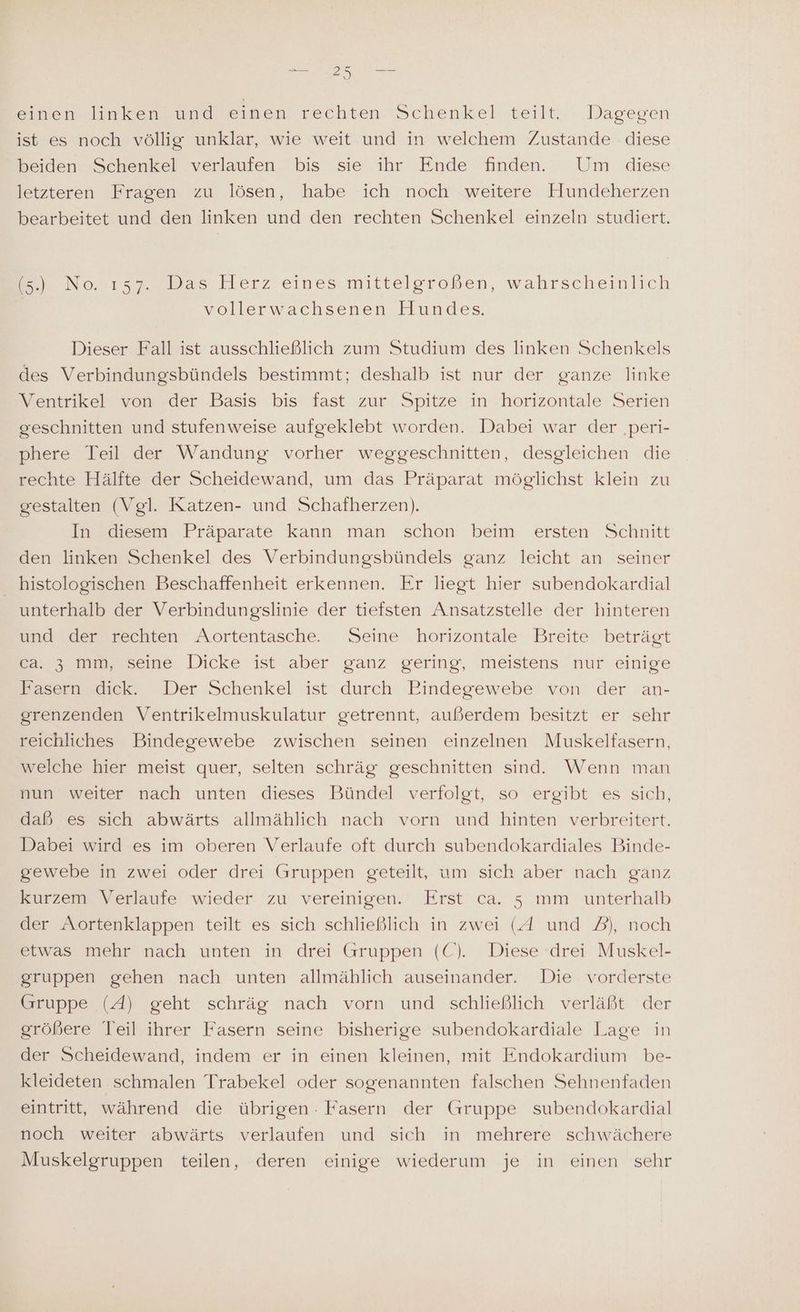 einen linken und einen rechten Schenkel teilt. Dagegen ist es noch völlig unklar, wie weit und in welchem Zustande diese beiden Schenkel verlaufen bis sie ihr Ende finden. Um diese letzteren Fragen zu lösen, habe ich noch weitere Hundeherzen bearbeitet und den linken und den rechten Schenkel einzeln studiert. No. 223 Herz eines mitteleroßen, wahrscheinlich vollerwachsenen Hundes. Dieser Fall ist ausschließlich zum Studium des linken Schenkels des Verbindungsbündels bestimmt; deshalb ist nur der ganze linke Ventrikel von der Basis bis fast zur Spitze in horizontale Serien geschnitten und stufenweise aufgeklebt worden. Dabei war der .peri- phere Teil der Wandung vorher weggeschnitten, desgleichen die rechte Hälfte der Scheidewand, um das Präparat möglichst klein zu gestalten (Vgl. Katzen- und Schafherzen). In diesem Präparate kann man schon beim ersten Schnitt den linken Schenkel des Verbindungsbündels ganz leicht an seiner histologischen Beschaffenheit erkennen. Er liegt hier subendokardial unterhalb der Verbindungslinie der tiefsten Ansatzstelle der hinteren und der rechten Aortentasche. Seine horizontale Breite beträgt er am seine: Dicke ist aber. ganz ‚gering, meistens nur einige Fasern dick. Der Schenkel ist durch Eindegewebe von der an- grenzenden Ventrikelmuskulatur getrennt, außerdem besitzt er sehr reichliches Bindegewebe zwischen seinen einzelnen Muskelfasern, welche hier meist quer, selten schräg geschnitten sind. Wenn man nun weiter nach unten dieses Bündel verfolgt, so ergibt es sich, daß es sich abwärts allmählich nach vorn und hinten verbreitert. Dabei wird es im oberen Verlaufe oft durch subendokardiales Binde- gewebe in zwei oder drei Gruppen geteilt, um sich aber nach ganz kurzem Verlaufe wieder zu vereinigen. Erst ca. 5s mm unterhalb der Aortenklappen teilt es sich schließlich in zwei (Al und 2), noch etwas mehr nach unten in drei Gruppen (C). Diese drei Muskel- gruppen gehen nach unten allmählich auseinander. Die vorderste Gruppe (A) geht schräg nach vorn und schließlich verläßt der größere Teil ihrer Fasern seine bisherige subendokardiale Lage in der Scheidewand, indem er in einen kleinen, mit Endokardium be- kleideten schmalen Trabekel oder sogenannten falschen Sehnenfaden eintritt, während die übrigen : Fasern der Gruppe subendokardial noch weiter abwärts verlaufen und sich in mehrere schwächere Muskelgruppen teilen, deren einige wiederum je in einen sehr