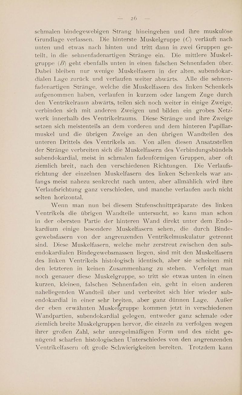 schmalen bindegewebigen Strang hineingehen und ihre muskulöse (rrundlage verlassen. Die hinterste Muskelgruppe (C) verläuft nach unten und etwas nach hinten und tritt dann in zwei Gruppen ge- teilt, in die sehnenfadenartigen Stränge ein. Die mittlere Muskel- oruppe (D) geht ebenfalls unten in einen falschen Sehnenfaden über. Dabei bleiben nur wenige Muskelfasern in der alten, subendokar- dialen Lage zurück und verlaufen weiter abwärts. Alle die sehnen- fadenartigen Stränge, welche die Muskelfasern des linken Schenkels aufgenommen haben, verlaufen in kurzem oder langem Zuge durch den Ventrikelraum abwärts, teilen sich noch weiter in einige Zweige, verbinden sich mit anderen Zweigen und bilden ein grobes Netz- werk innerhalb des Ventrikelraums. Diese Stränge und ihre Zweige setzen sich meistenteils an dem vorderen und dem hinteren Papillar- muskel und die übrigen Zweige an den übrigen Wandteilen des unteren Drittels des Ventrikels an. Von allen diesen Ansatzstellen der Stränge verbreiten sich die Muskelfasern des Verbindungsbündels subendokardial, meist in schmalen fadenförmigen Gruppen, aber oft ziemlich breit, nach den verschiedenen Richtungen. Die Verlaufs- richtung der einzelnen Muskelfasern des linken Schenkels war an- fangs meist nahezu senkrecht nach unten, aber allmählich wird ihre Verlaufsrichtung ganz verschieden, und manche verlaufen auch nicht selten horizontal. Wenn man nun bei diesem Stufenschnittpräparate des linken Ventrikels die übrigen Wandteile untersucht, so kann man schon in der obersten Partie der hinteren Wand direkt unter dem Endo- kardium einige besondere Muskelfasern sehen, die durch Binde- gewebsfasern von der angrenzenden Ventrikelmuskulatur getrennt sind. Diese Muskelfasern, welche mehr zerstreut zwischen den sub- endokardialen Bindegewebsmassen liegen, sind mit den Muskelfasern des linken Ventrikels histologisch identisch, aber sie scheinen mit den letzteren in keinen Zusammenhang zu stehen. Verfolgt man noch genauer diese Muskelgruppe, so tritt sie etwas unten in einen kurzen, kleinen, falschen Sehnenfaden ein, geht in einen anderen naheliegenden Wandteil über und verbreitet sich hier wieder sub- endokardial in einer sehr breiten, aber ganz dünnen Lage. Außer der eben erwähnten Muskelgruppe kommen jetzt in verschiedenen Wandpartien, subendokardial gelegen, entweder ganz schmale oder ziemlich breite Muskelgruppen hervor, die einzeln zu verfolgen wegen ihrer großen Zahl, sehr unregelmäßigen Form und des nicht ge- nügend scharfen histologischen Unterschiedes von den angrenzenden Ventrikelfasern oft große Schwierigkeiten bereiten. ‘Irotzdem kann