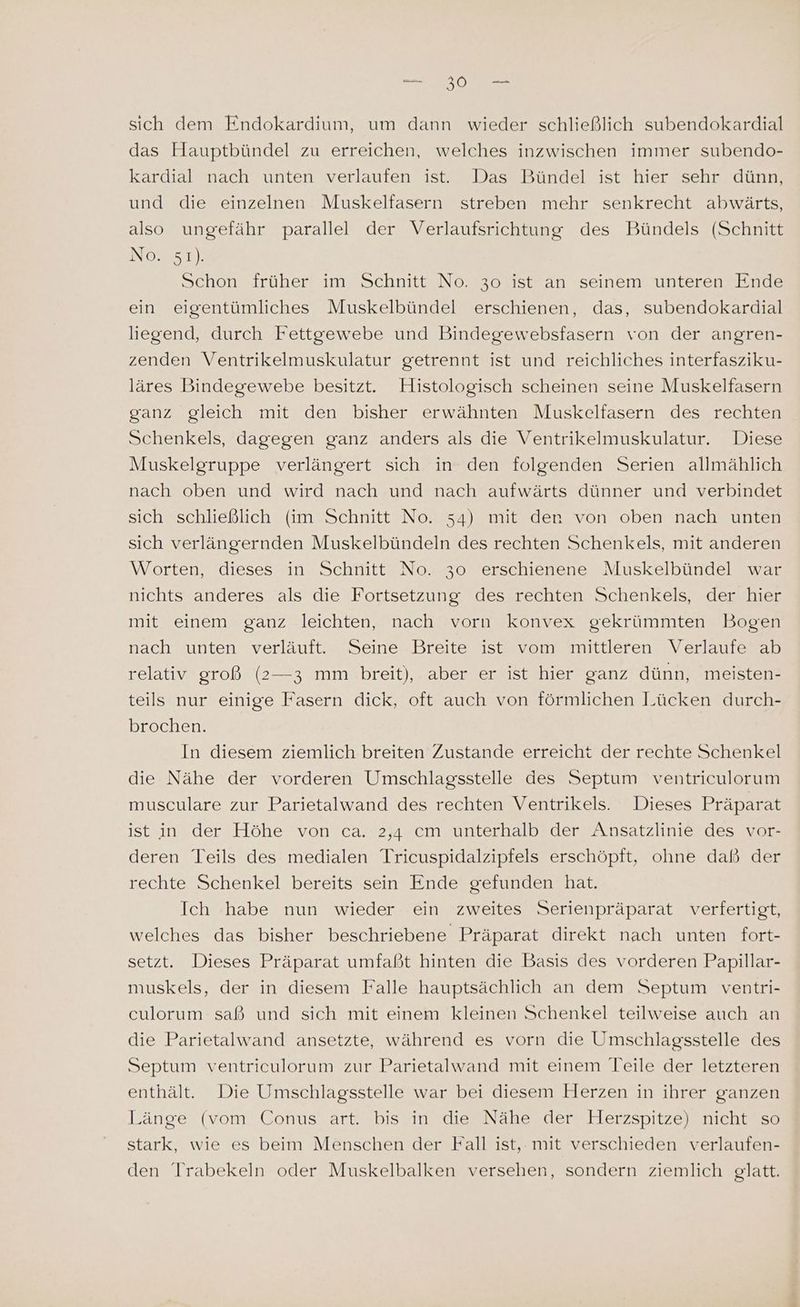 sich dem Endokardium, um dann wieder schließlich subendokardial das Hauptbündel zu erreichen, welches inzwischen immer subendo- kardial nach unten verlaufen ist. Das Bündel ist hier sehr dünn, und die einzelnen Muskelfasern streben mehr senkrecht abwärts, also ungefähr parallel der Verlaufsrichtung des Bündels (Schnitt NOoBe,n). Schon früher im Schnitt No. 30 ist an seinem unteren Ende ein eigentümliches Muskelbündel erschienen, das, subendokardial liegend, durch Fettgewebe und Bindegewebsfasern von der angren- zenden Ventrikelmuskulatur getrennt ist und reichliches interfasziku- läres Bindegewebe besitzt. Histologisch scheinen seine Muskelfasern ganz gleich mit den bisher erwähnten Muskeltasern des rechten Schenkels, dagegen ganz anders als die Ventrikelmuskulatur. Diese Muskelgruppe verlängert sich in den folgenden Serien allmählich nach oben und wird nach und nach aufwärts dünner und verbindet sich schließlich (im Schnitt No. 54) mit den von oben nach unten sich verlängernden Muskelbündeln des rechten Schenkels, mit anderen Worten, dieses in Schnitt No. 30 erschienene Muskelbündel war nichts anderes als die Fortsetzung des rechten Schenkels, der hier mit einem ganz leichten, nach vorn konvex gekrümmten Bogen nach unten verläuft. Seine Breite ist vom mittleren Verlaufe ab relativ groß (2—3 mm breit), aber er ist hier ganz dünn, meisten- teils nur einige Fasern dick, oft auch von förmlichen Lücken durch- brochen. In diesem ziemlich breiten Zustande erreicht der rechte Schenkel die Nähe der vorderen Umschlagsstelle des Septum ventriculorum musculare zur Parietalwand des rechten Ventrikels. Dieses Präparat ist in der Höhe von ca. 2,4 cm unterhalb der Ansatzlinie des vor- deren Teils des medialen Tricuspidalzipfels erschöpft, ohne daß der rechte Schenkel bereits sein Ende gefunden hat. Ich habe nun wieder ein zweites Serienpräparat verfertigt, welches das bisher beschriebene Präparat direkt nach unten fort- setzt. Dieses Präparat umfaßt hinten die Basis des vorderen Papillar- muskels, der in diesem Falle hauptsächlich an dem Septum ventri- culorum saß und sich mit einem kleinen Schenkel teilweise auch an die Parietalwand ansetzte, während es vorn die Umschlagsstelle des Septum ventriculorum zur Parietalwand mit einem Teile der letzteren enthält. Die Umschlagsstelle war bei diesem Herzen in ihrer ganzen Länge (vom Conus art. bis in die Nähe der Herzspitze) nicht so stark, wie es beim Menschen der Fall ist, mit verschieden verlaufen- den Trabekeln oder Muskelbalken versehen, sondern ziemlich glatt.