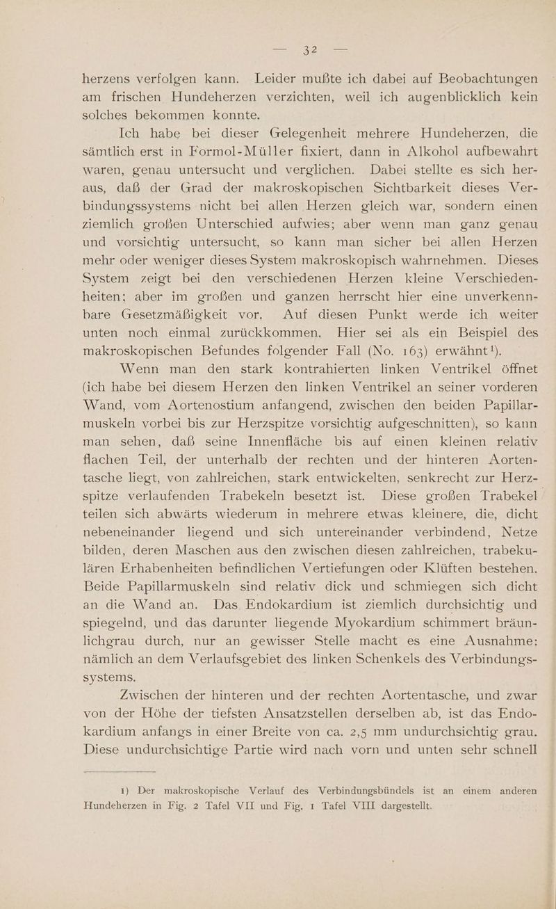 herzens verfolgen kann. Leider mußte ich dabei auf Beobachtungen am frischen Hundeherzen verzichten, weil ich augenblicklich kein solches bekommen konnte. Ich habe bei dieser (relegenheit mehrere Hundeherzen, die sämtlich erst in Formol-Müller fixiert, dann in Alkohol aufbewahrt waren, genau untersucht und verglichen. Dabei stellte es sich her- aus, daß der Grad der makroskopischen Sichtbarkeit dieses Ver- bindungssystems nicht bei allen Herzen gleich war, sondern einen ziemlich großen Unterschied aufwies; aber wenn man ganz genau und vorsichtig untersucht, so kann man sicher bei allen Herzen mehr oder weniger dieses System makroskopisch wahrnehmen. Dieses System zeigt bei den verschiedenen Herzen kleine Verschieden- heiten; aber im großen und ganzen herrscht hier eine unverkenn- bare Gesetzmäßigkeit vor, Auf diesen Punkt werde ich weiter unten noch einmal zurückkommen. Hier sei als ein Beispiel des makroskopischen Befundes folgender Fall (No. 163) erwähnt!). Wenn man den stark kontrahierten linken Ventrikel öffnet (ich habe bei diesem Herzen den linken Ventrikel an seiner vorderen Wand, vom Aortenostiunm anfangend, zwischen den beiden Papillar- muskeln vorbei bis zur Herzspitze vorsichtig aufgeschnitten), so kann man sehen, daß seine Innenfläche bis auf einen kleinen relativ flachen Teil, der unterhalb der rechten und der hinteren A.orten- tasche liegt, von zahlreichen, stark entwickelten, senkrecht zur Herz- spitze verlaufenden Trabekeln besetzt ist. Diese großen Trabekel- teilen sich abwärts wiederum in mehrere etwas kleinere, die, dicht nebeneinander liegend und sich untereinander verbindend, Netze bilden, deren Maschen aus den zwischen diesen zahlreichen, trabeku- lären Erhabenheiten befindlichen Vertiefungen oder Klüften bestehen. Beide Papillarmuskeln sind relativ dick und schmiegen sich dicht an die Wand an. Das Endokardium ist ziemlich durchsichtig und spiegelnd, und das darunter liegende Myokardium schimmert bräun- lichgrau durch, nur an gewisser Stelle macht es eine Ausnahme: nämlich an dem Verlaufsgebiet des linken Schenkels des Verbindungs- systems. Ä Zwischen der hinteren und der rechten Aortentasche, und zwar von der Höhe der tiefsten Ansatzstellen derselben ab, ist das Endo- kardium anfangs in einer Breite von ca. 2,5 mm undurchsichtig grau. Diese undurchsichtige Partie wird nach vorn und unten sehr schnell ı) Der makroskopische Verlauf des Verbindungsbündels ist an einem anderen