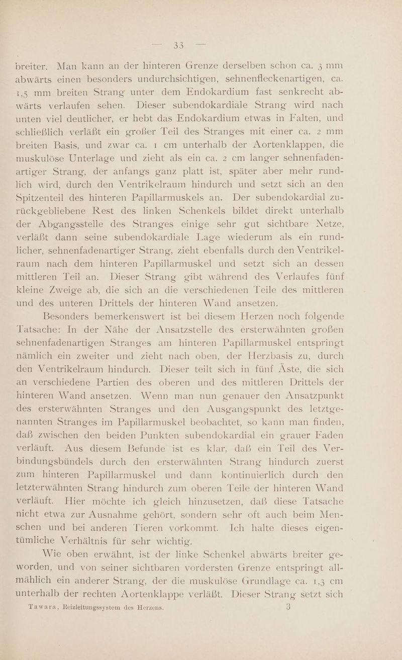 abwärts einen besonders undurchsichtigen, sehnenfleckenartigen, ca. 1,5; mm breiten Strang unter dem Endokardium fast senkrecht ab- wärts verlaufen sehen. Dieser subendokardiale Strang wird nach unten viel deutlicher, er hebt das Endokardium etwas in Falten, und schließlich verläßt ein großer Teil des Stranges mit einer ca. 2 mm breiten Basis, und zwar ca. ı cm unterhalb der Aortenklappen, die muskulöse Unterlage und zieht als ein ca. 2 cm langer sehnenfaden- artiger Strang, der anfangs ganz platt ist, später aber mehr rund- lich wird, durch den Ventrikelraum hindurch und setzt sich an den Spitzenteil des hinteren Papillarmuskels an. Der subendokardial zu- rückgebliebene Rest des linken Schenkels bildet direkt unterhalb der Abgangsstelle des Stranges einige sehr gut sichtbare Netze, verläßt dann seine subendokardiale Lage wiederum als ein rund- licher, sehnenfadenartiger Strang, zieht ebenfalls durch den Ventrikel- raum nach dem hinteren Papillarmuskel und setzt sich an dessen mittleren Teil an. Dieser Strang gibt während des Verlaufes fünf kleine Zweige ab, die sich an die verschiedenen Teile des mittleren und des unteren Drittels der hinteren Wand ansetzen. Besonders bemerkenswert ist bei diesem Herzen noch folgende Tatsache: In der Nähe der Ansatzstelle des ersterwähnten großen sehnenfadenartigen Stranges am hinteren Papillarmuskel entspringt nämlich ein zweiter und zieht nach oben, der Herzbasis zu, durch den Ventrikelraum hindurch. Dieser teilt sich in fünf Äste, die sich an verschiedene Partien des oberen und des mittleren Drittels der hinteren \Wand ansetzen. Wenn man nun genauer den Ansatzpunkt des ersterwähnten Stranges und den Ausgangspunkt des letztge- nannten Stranges im Papillarmuskel beobachtet, so kann man finden, daß zwischen den beiden Punkten subendokardial ein grauer Faden verläuft, Aus diesem Befunde ist: es klar; daß ein Teil des Ver- bindungsbündels durch den ersterwähnten Strang hindurch zuerst zum hinteren Papillarmuskel und dann kontinuierlich durch den letzterwähnten Strang hindurch zum oberen Teile der hinteren Wand verläuft. Hier möchte ich gleich hinzusetzen, dal diese Tatsache nicht etwa zur Ausnahme gehört, sondern sehr oft auch beim Men- schen und bei anderen Tieren vorkommt. Ich halte dieses eigen- tümliche Verhältnis für sehr wichtig. Wie oben erwähnt, ist der linke Schenkel abwärts breiter ge- worden, und von seiner sichtbaren vordersten Grenze entspringt all- mählich ein anderer Strang, der die muskulöse Grundlage ca. 1,3 cm unterhalb der rechten Aortenklappe verläßt. Dieser Strang setzt sich Tawara, Reizleitungssystem des Herzens. M)