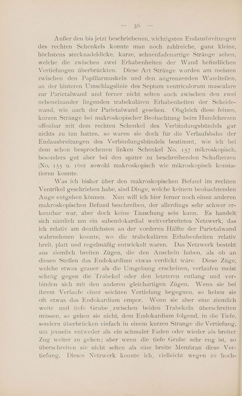 Außer den bis jetzt beschriebenen, wichtigsten Endausbreitungen des rechten Schenkels konnte man noch zahlreiche, ganz kleine, höchstens stecknadeldicke, kurze, sehnenfadenartige Stränge schen, welche die zwischen zwei Erhabenheiten der Wand befindlichen Vertiefungen überbrückten. Diese Art Stränge wurden am meisten zwischen den Papillarmuskeln und den angrenzenden Weandteilen, an der hinteren Umschlagslinie des Septum ventriculorum musculare zur Parietalwand und ferner nicht selten auch zwischen den zwei nebeneinander liegenden trabekulären Erhabenheiten der Scheide- wand, wie auch der Parietalwand gesehen. Obgleich diese feinen, kurzen Stränge bei makroskopischer Beobachtung beim Hundeherzen offenbar mit dem rechten Schenkel des Verbindungsbündels gar nichts zu’ tun haften, 'so.' waren sie ‘doch für die Verlauisbahn” der Endausbreitungen des Verbindungsbündels bestimmt, wie ich bei dem schon besprochenen linken Schenkel No. 1537 mikroskopisch, besonders gut aber bei den später zu beschreibenden Schafherzen (No. 155 u. 160) sowohl makroskopisch wie mikroskopisch konsta- tieren konnte. Was ich bisher über den makroskopischen Befund im rechten Ventrikel geschrieben habe, sind Dinge, welche keinem beobachtenden Auge entgehen können. Nun will ich hier ferner noch einen anderen makroskopischen Befund beschreiben, der allerdings sehr schwer er- kennbar war, aber doch keine Täuschung sein kann. Es handelt sich nämlich um ein subendokardial weitverbreitetes Netzwerk, das ich relativ am deutlichsten an der vorderen Hälfte der Parietalwand wahrnehmen konnte, wo die trabekulären Erhabenheiten relativ breit, platt und regelmäßig entwickelt waren. Das Netzwerk besteht aus ziemlich breiten Zügen, die den Anschein haben, als ob an diesen Stellen das Endokardium etwas verdickt wäre. Diese Züge, welche etwas grauer als die Umgebung erscheinen, verlaufen meist schräg” gegen die Jrabekel oder Tdenwletzteren entlangzsund ver binden sich mit den anderen gleichartigen Zügen. Wenn sie bei ihrem Verlaufe einer seichten Vertiefung begegnen, so heben sie oft etwas das Endokardium empor. Wenn sie aber eine ziemlich weite und tiefe Grube ‚zwischen beiden Trabekeln überschreiten müssen, so gehen sie nicht, dem Endokardium folgend, in die Tiefe, sondern überbrücken einfach in einem kurzen Strange die Vertiefung, um jenseits entweder als ein schmaler Faden oder wieder als breiter Zug weiter zu gehen; aber wenn die tiefe Grube sehr eng ist, so überschreiten sie nicht selten als eine breite Membran diese Ver- tiefung. Dieses Netzwerk konnte ich, vielleicht wegen zu hoch- 4