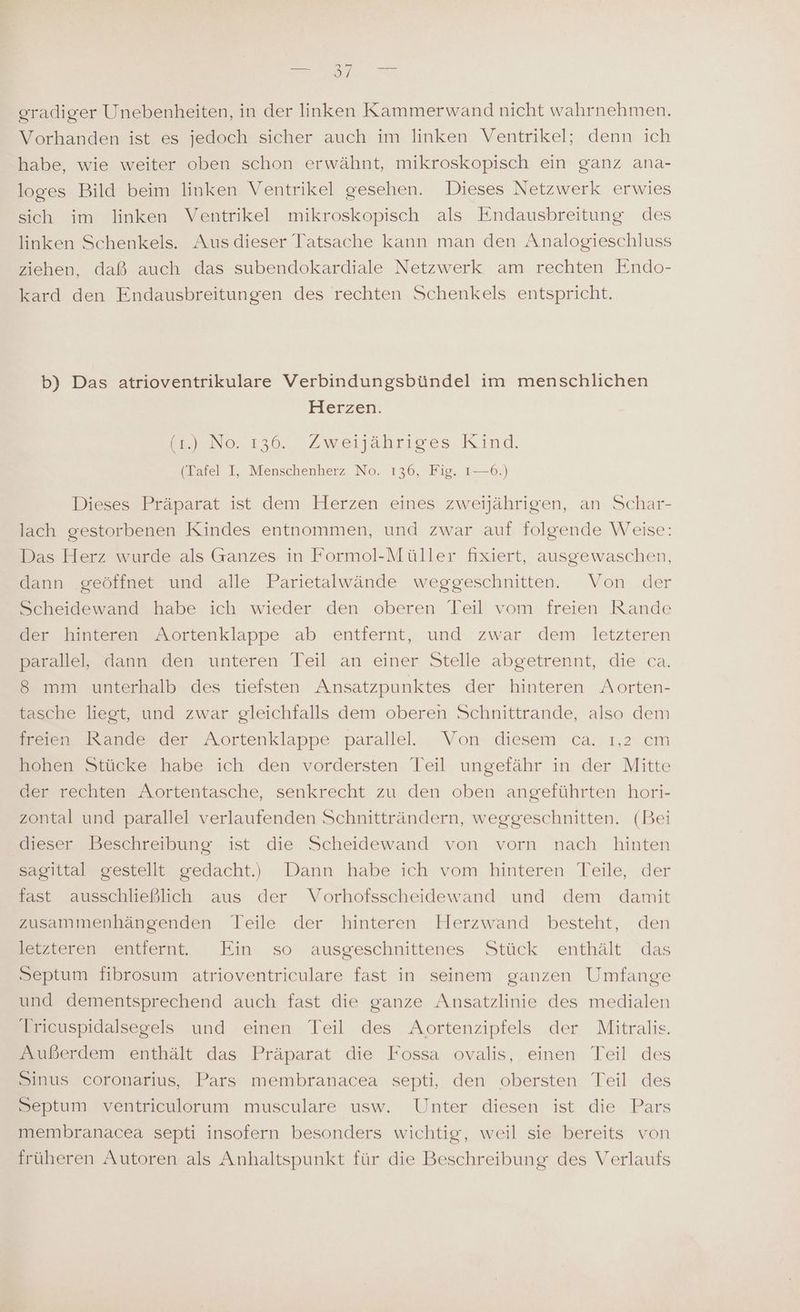 eradiger Unebenheiten, in der linken Kammerwand nicht wahrnehmen. Vorhanden ist es jedoch sicher auch im linken Ventrikel; denn ich habe, wie weiter oben schon erwähnt, mikroskopisch ein ganz ana- loges Bild beim linken Ventrikel gesehen. Dieses Netzwerk erwies sich im linken Ventrikel mikroskopisch als Endausbreitung des linken Schenkels. Aus dieser Tatsache kann man den Analogieschluss ziehen, daß auch das subendokardiale Netzwerk am rechten Endo- kard den Endausbreitungen des rechten Schenkels entspricht. b) Das atrioventrikulare Verbindungsbündel im menschlichen Herzen. mr No 136. Zweijahrisges Rind. (Tafel I, Menschenherz No. 136, Fig. 1—6.) Dieses Präparat ist dem Herzen eines zweijährigen, an Schar- lach gestorbenen Kindes entnommen, und zwar auf folgende Weise: Das Herz wurde als Ganzes in Formol-Müller fixiert, ausgewaschen, dann geöffnet und alle Parietalwände weggeschnitten. Von der Scheidewand habe ich wieder den oberen Teil vom freien Rande der hinteren Aortenklappe ab entfernt, und zwar dem letzteren parallel, dann den unteren Teil an einer Stelle abgetrennt, die ca. 8 mm unterhalb des tiefsten Ansatzpunktes der hinteren Aorten- tasche liegt, und zwar gleichfalls dem oberen Schnittrande, also dem freien Rande der Aortenklappe parallel. Von diesem ca. ı,2 cm hohen Stücke habe ich den vordersten Teil ungefähr in der Mitte der rechten Aortentasche, senkrecht zu den oben angeführten hori- zontal und parallel verlaufenden Schnitträndern, weggeschnitten. (Bei dieser Beschreibung ist die Scheidewand von vorn nach hinten sagittal gestellt gedacht.) Dann habe ich vom hinteren Teile, der fast ausschließlich aus der Vorhofsscheidewand und dem damit zusammenhängenden Teile der hinteren Herzwand besteht, den letzteren entfernt. Ein so ausgeschnittenes Stück enthält das Septum fibrosum atrioventriculare fast in seinem ganzen Umfange und dementsprechend auch fast die ganze Ansatzlinie des medialen Tricuspidalsegels und einen Teil des Aortenzipfels der Mitralis. Außerdem enthält das Präparat die Fossa ovalis, einen Teil des Sinus coronarius, Pars membranacea septi, den obersten Teil des Septum ventriculorum musculare usw. Unter diesen ist die Pars membranacea septi insofern besonders wichtig, weil sie bereits von früheren Autoren als Anhaltspunkt für die Beschreibung des Verlaufs