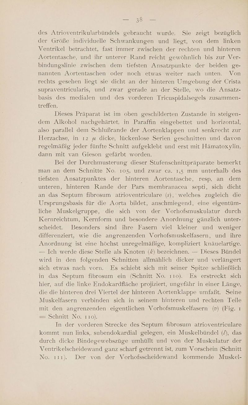 des Atrioventrikularbündels gebraucht wurde. Sie zeigt bezüglich der Größe individuelle Schwankungen und liegt, von dem linken Ventrikel betrachtet, fast immer zwischen der rechten und hinteren Aortentasche, und ihr unterer Rand reicht gewöhnlich bis zur Ver- bindungslinie zwischen dem tiefsten Ansatzpunkte der beiden ge- nannten Aortentaschen oder noch etwas weiter nach unten. Von rechts gesehen liegt sie dicht an der hinteren Umgebung der Crista supraventricularis, und zwar gerade an der Stelle, wo die Ansatz- basis des medialen und des vorderen Tricuspidalsegels zusammen- er tiens Dieses Präparat ist im oben geschilderten Zustande in steigen- dem Alkohol nachgehärtet, in Paraffin eingebettet und horizontal, also parallel dem Schlußrande der Aortenklappen und senkrecht zur Herzachse, in ı2 u dicke, lückenlose Serien geschnitten und davon regelmäßig jeder fünfte Schnitt aufgeklebt und erst mit Hämatoxylin, dann mit van Gieson gefärbt worden. Bei der Durchmusterung dieser Stufenschnittpräparate bemerkt man an dem Schnitte No. 105, und zwar ca. 1,5 mm unterhalb des tiefsten Ansatzpunktes der hinteren Aortentasche, resp. an dem unteren, hinteren Rande der Pars membranacea septi, sich dicht an das Septum fibrosum atrioventriculare (s), welches zugleich die Ursprungsbasis für die Aorta bildet, anschmiegend, eine eigentüm- liche Muskelgruppe, die sich von der Vorhofsmuskulatur durch Kernreichtum, Kernform und besondere Anordnung gänzlich unter- scheidet. Besonders sind ihre Fasern viel kleiner und weniger differenziert, wie die angrenzenden Vorhofsmuskelfasern, und ihre Anordnung ist eine höchst unregelmäßige, kompliziert knäuelartige. — Ich werde diese Stelle als Knoten (#) bezeichnen. — Dieses Bündel wird in den folgenden Schnitten allmählich dicker und verlängert sich etwas nach vorn. Es schiebt sich mit seiner Spitze schließlich in das Septum fibrosum ein (Schnitt No. 110). Es erstreckt. sich hier, auf die linke Endokardfläche projiziert, ungefähr in einer Länge, die die hinteren drei Viertel der hinteren Aortenklappe umfaßt. Seine Muskelfasern verbinden sich in seinem hinteren und rechten Teile mit den angrenzenden eigentlichen Vorhofsmuskelfasern (”) (Fig. ı ZESICHMILEN OO): In der vorderen Strecke des Septum fibrosum atrioventriculare kommt nun links,. subendokardial gelegen, ein Muskelbündel (/), das durch dicke Bindegewebszüge umhüllt und von der Muskulatur der Ventrikelscheidewand ganz scharf getrennt ist, zum Vorschein (Schnitt No. ı1ı1ı). Der von der Vorhofsscheidewand kommende Muskel-