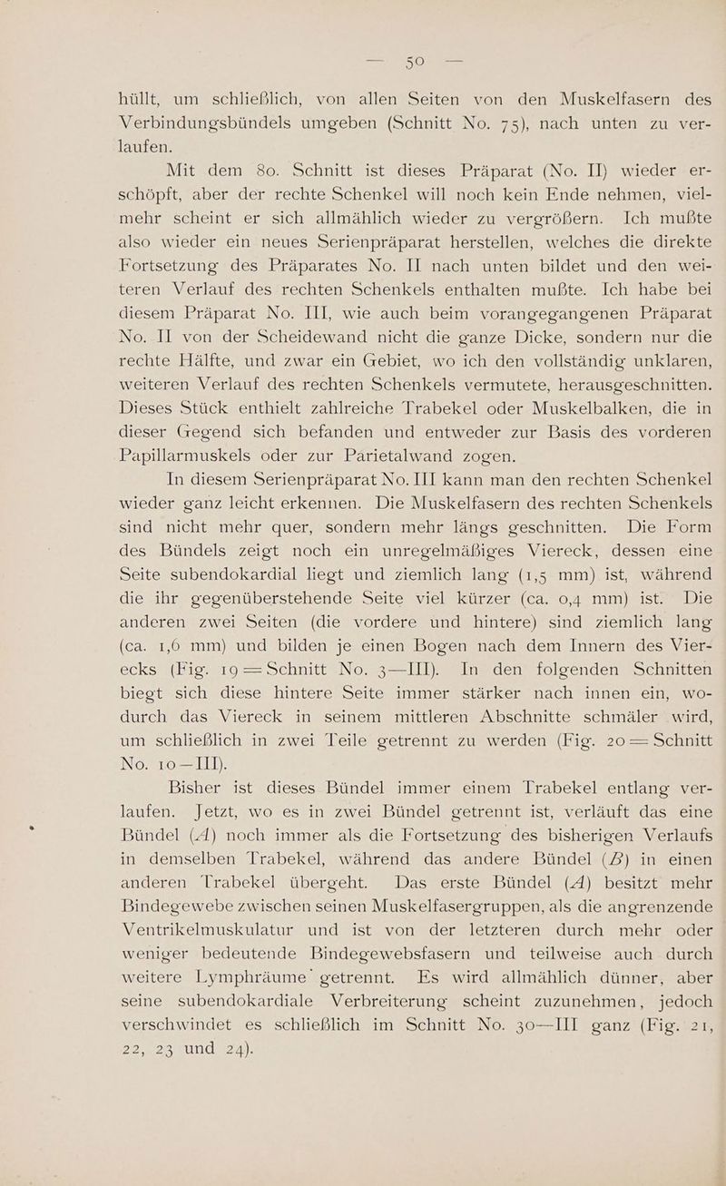 ng =) [®) ee hüllt, um schließlich, von allen Seiten von den Muskelfasern des Verbindungsbündels umgeben (Schnitt No. 75), nach unten zu ver- laufen. Mit dem 80. Schnitt ist dieses Präparat (No. II) wieder er- schöpft, aber der rechte Schenkel will noch kein Ende nehmen, viel- mehr scheint er sich allmählich wieder zu vergrößern. Ich mußte also wieder ein neues Serienpräparat herstellen, welches die direkte Fortsetzung des Präparates No. II nach unten bildet und den wei- teren Verlauf des rechten Schenkels enthalten mußte. Ich habe bei diesem Präparat No. III, wie auch beim vorangegangenen Präparat No. Il von der Scheidewand nicht die ganze Dicke, sondern nur die rechte Hälfte, und zwar ein (Gebiet, wo ich den vollständig unklaren, weiteren Verlauf des rechten Schenkels vermutete, herausgeschnitten. Dieses Stück enthielt zahlreiche Trabekel oder Muskelbalken, die in dieser Gregend sich befanden und entweder zur Basis des vorderen Papillarmuskels oder zur Parietalwand zogen. In diesem Serienpräparat No. III kann man den rechten Schenkel wieder ganz leicht erkennen. Die Muskelfasern des rechten Schenkels sind nicht mehr quer, sondern mehr längs geschnitten. Die Form des Bündels zeigt noch ein unregelmäßiges Viereck, dessen eine Seite subendokardial liegt und ziemlich lang (1,5 mm) ist, während diesibr’gegenüberstehende Seite vıelgkürzer (ca. 04mm) ıste= Die anderen zwei Seiten (die vordere und hintere) sind ziemlich lang (ca. 1,0 mm) und bilden je einen Bogen nach dem Innern des Vier- ecks (Fig. 19—=Schnitt No. 3—III). In den folgenden Schnitten biegt sich diese hintere Seite immer stärker nach innen ein, wo- durch das Viereck in seinem mittleren Abschnitte schmäler wird, um schließlich in zwei Teile getrennt zu werden (Fig. 20 — Schnitt No. 10 —Il]). Bisher ist dieses Bündel immer einem Irabekel entlang ver- laufen. Jetzt, wo es in zwei Bündel getrennt ist, verläuft das eine Bündel (A) noch immer als die Fortsetzung des bisherigen Verlaufs in demselben Trabekel, während das andere Bündel (2) in einen anderen Irabekel übergeht. Das erste Bündel (A) besitzt mehr Bindegewebe zwischen seinen Muskelfasergruppen, als die angrenzende Ventrikelmuskulatur und ist von der letzteren durch mehr oder weniger bedeutende Bindegewebsfasern und teilweise auch durch weitere Lymphräume getrennt. Es wird allmählich dünner, aber seine subendokardiale Verbreiterung scheint zuzunehmen, jedoch verschwindet es schließlich im Schnitt No. 30—III ganz (Fig. 21, 22, 22810424);