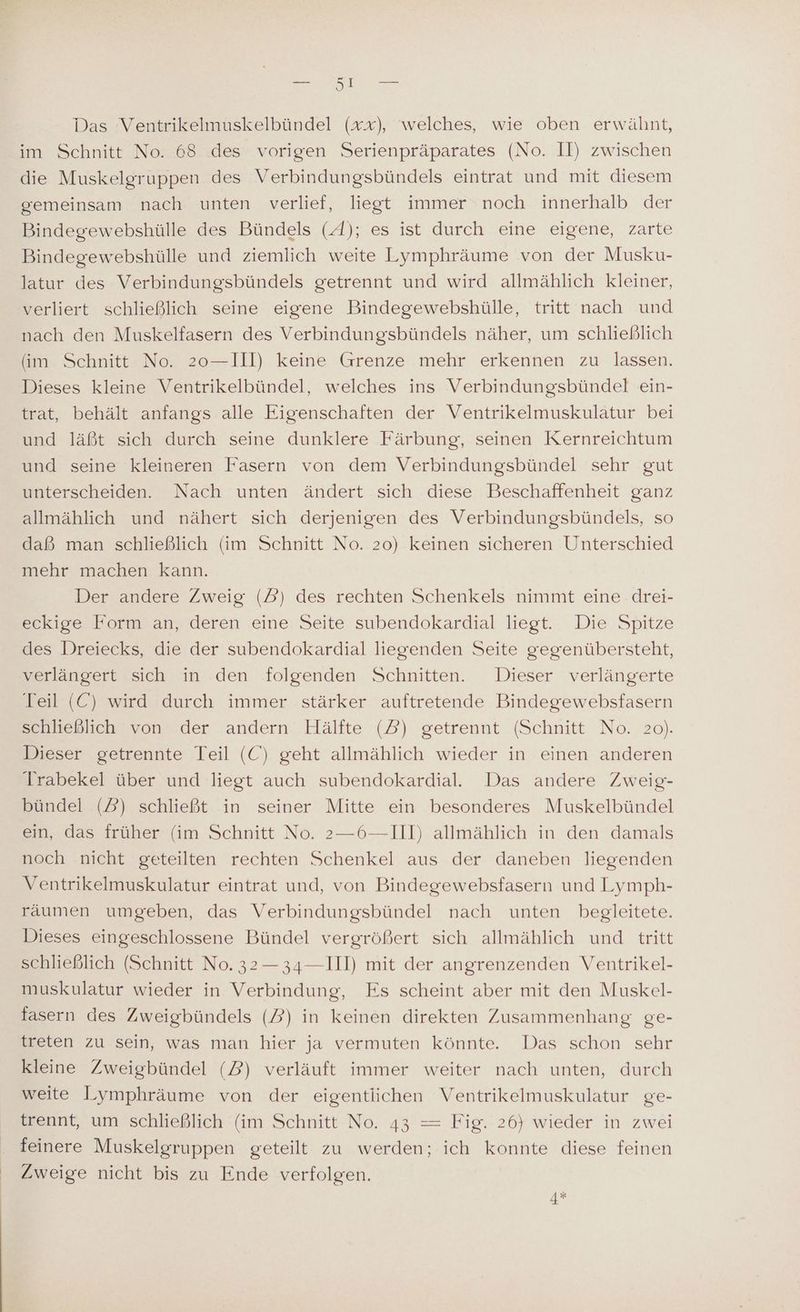 Das Ventrikelmuskelbündel (xx), welches, wie oben erwähnt, im Schnitt No. 68 .des vorigen Serienpräparates (No. II) zwischen die Muskelgruppen des Verbindungsbündels eintrat und mit diesem gemeinsam nach unten verlief, liegt immer noch innerhalb der Bindegewebshülle des Bündels (A); es ist durch eine eigene, zarte Bindegewebshülle und ziemlich weite Lymphräume von der Musku- latur des Verbindungsbündels getrennt und wird allmählich kleiner, verliert schließlich seine eigene Bindegewebshülle, tritt nach und nach den Muskelfasern des Verbindungsbündels näher, um schließlich (im Schnitt No. 20—III) keine Grenze mehr erkennen zu lassen. Dieses kleine Ventrikelbündel, welches ins Verbindungsbündel ein- trat, behält anfangs alle Eigenschaften der Ventrikelmuskulatur bei und läßt sich durch seine dunklere Färbung, seinen Kernreichtum und seine kleineren Fasern von dem Verbindungsbündel sehr gut unterscheiden. Nach unten ändert sich diese Beschaffenheit ganz allmählich und nähert sich derjenigen des Verbindungsbündels, so daß man schließlich (im Schnitt No. 20) keinen sicheren Unterschied mehr machen kann. Der andere Zweig (5) des rechten Schenkels nimmt eine. drei- eckige Form an, deren eine Seite subendokardial liegt. Die Spitze des Dreiecks, die der subendokardial liegenden Seite gegenübersteht, zerlangert sich in .den ‚folgenden Schnitten. Dieser verlängerte Teil (C) wird durch immer stärker auftretende Bindegewebsfasern sculkehlich von der andern’ Hälfte (2) getrennt (Schnitt No. 20). Dieser getrennte Teil (C') geht allmählich wieder in einen anderen Trabekel über und liegt auch subendokardial. Das andere Zweig- bündel (3) schließt in seiner Mitte ein besonderes Muskelbündel ein, das früher (im Schnitt No. 2—6—III) allmählich in den damals noch nicht geteilten rechten Schenkel aus der daneben liegenden Ventrikelmuskulatur eintrat und, von Bindegewebsfasern und Lymph- räumen umgeben, das Verbindungsbündel nach unten begleitete. Dieses eingeschlossene Bündel vergrößert sich allmählich und tritt schließlich (Schnitt No. 32— 34—IIl) mit der angrenzenden Ventrikel- muskulatur wieder in Verbindung, Es scheint aber mit den Muskel- fasern des Zweigbündels (3) in keinen direkten Zusammenhang ge- treten zu sein, was man hier ja vermuten könnte. Das schon sehr kleine Zweigbündel (2) verläuft immer weiter nach unten, durch weite Lymphräume von der eigentlichen Ventrikelmuskulatur ge- trennt, um schließlich (im Schnitt No. 43 = Fig. 26} wieder in zwei feinere Muskelgruppen geteilt zu werden; ich konnte diese feinen 4*