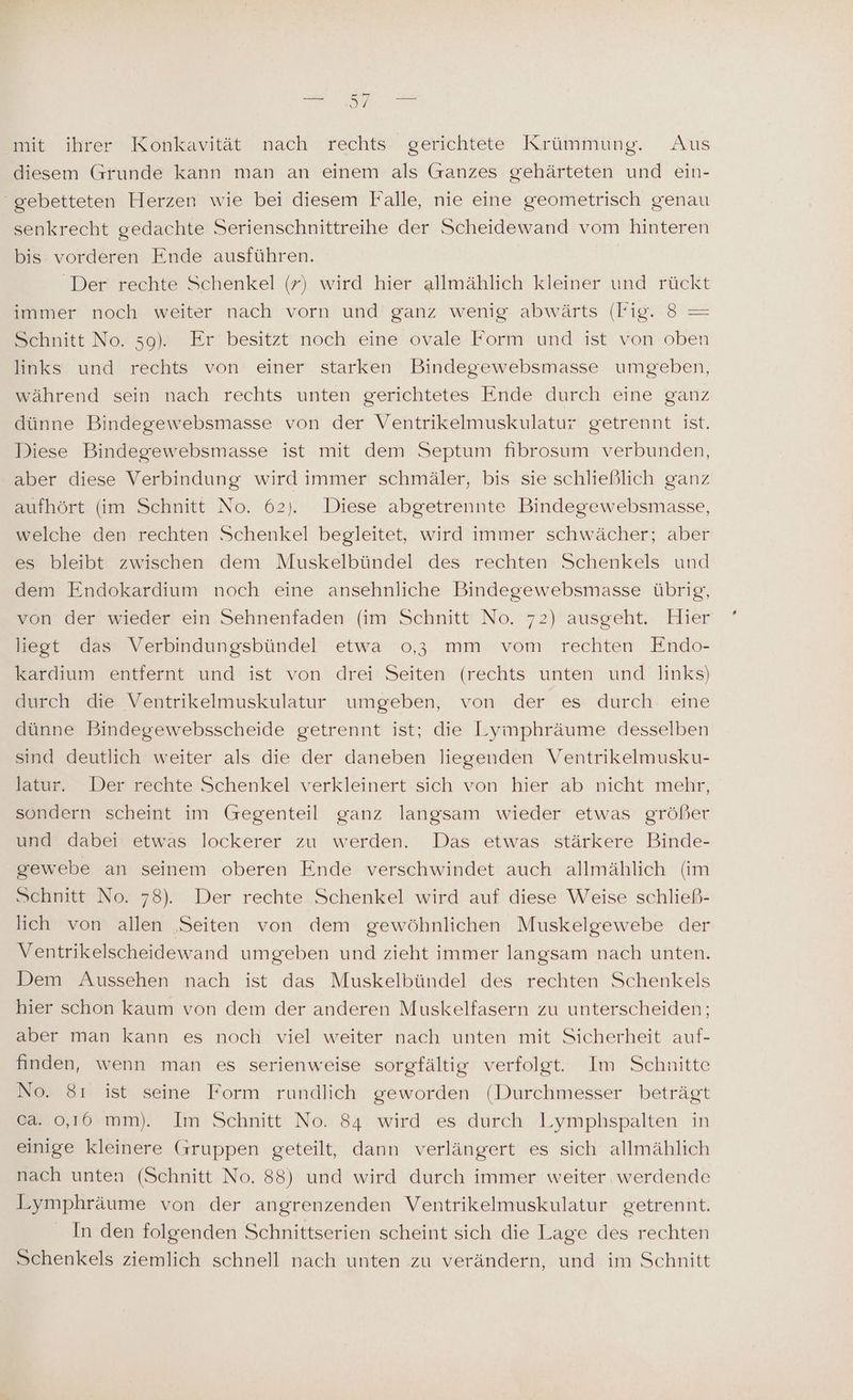 it ihrer Konkavität nach rechts‘ gerichtete Krünfnüng. Aus diesem Grunde kann man an einem als Ganzes gehärteten und ein- ' gebetteten Herzen wie bei diesem Falle, nie eine geometrisch genau senkrecht gedachte Serienschnittreihe der Scheidewand vom hinteren bis vorderen Ende ausführen. Der rechte Schenkel (7) wird hier allmählich kleiner und rückt immer noch weiter nach vorn und ganz wenig abwärts (Fig. 8 = Schnitt No. 59). Er besitzt noch eine ovale Form und ist von oben links und rechts von einer starken Bindegewebsmasse umgeben, während sein nach rechts unten gerichtetes Ende durch eine ganz dünne Bindegewebsmasse von der Ventrikelmuskulatur getrennt ist. Diese Bindegewebsmasse ist mit dem Septum fibrosum verbunden, aber diese Verbindung wird immer schmäler, bis sie schließlich ganz aufhört (im Schnitt No. 62). Diese abgetrennte Bindegewebsmasse, welche den rechten Schenkel begleitet, wird immer schwächer; aber es bleibt zwischen dem Muskelbündel des rechten Schenkels und dem Endokardium noch eine ansehnliche Bindegewebsmasse übrig, von der wieder ein Sehnenfaden (im Schnitt No. 72) ausgeht. Hier liegt das Verbindungsbündel etwa 0,3 mm vom rechten Endo- kardium entfernt und ist von drei Seiten (rechts unten und links) durch die Ventrikelmuskulatur umgeben, von der es durch eine dünne Bindegewebsscheide getrennt ist; die Lymphräume desselben sind deutlich weiter als die der daneben liegenden Ventrikelmusku- latur. Der rechte Schenkel verkleinert sich von hier ab nicht mehr, sondern scheint im Gegenteil ganz langsam wieder etwas größer und dabei etwas lockerer zu werden. Das etwas stärkere Binde- gewebe an seinem oberen Ende verschwindet auch allmählich (im Schnitt No. 78). Der rechte Schenkel wird auf diese Weise schließ- lich von allen ‚Seiten von dem gewöhnlichen Muskelgewebe der Ventrikelscheidewand umgeben und zieht immer langsam nach unten. Dem Aussehen nach ist das Muskelbündel des rechten Schenkels hier schon kaum von dem der anderen Muskelfasern zu unterscheiden; aber man kann es noch viel weiter nach unten mit Sicherheit auf- finden, wenn man es serienweise sorgfältig verfolgt. Im Schnitte No. 81 ist seine Form rundlich geworden (Durchmesser beträgt ca. 0,16 mm). Im Schnitt No. 84 wird es durch Lymphspalten in einige kleinere Gruppen geteilt, dann verlängert es sich allmählich nach unten (Schnitt No. 88) und wird durch immer weiter werdende Lymphräume von der angrenzenden Ventrikelmuskulatur getrennt. In den folgenden Schnittserien scheint sich die Lage des rechten Schenkels ziemlich schnell nach unten zu verändern, und im Schnitt