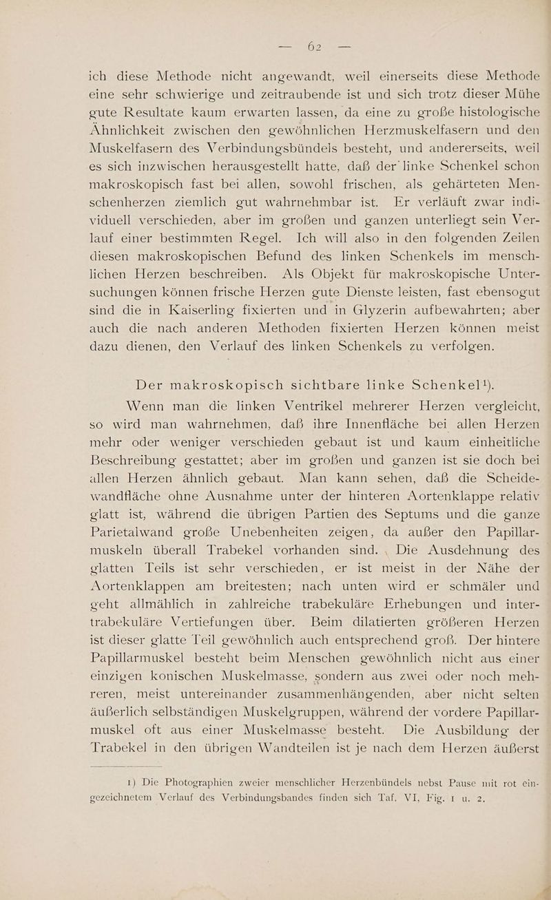 a ich diese Methode nicht angewandt, weil einerseits diese Methode eine sehr schwierige und zeitraubende ist und sich trotz dieser Mühe gute Resultate kaum erwarten lassen, da eine zu große histologische Ähnlichkeit zwischen den gewöhnlichen Herzmuskelfasern und den Muskelfasern des Verbindungsbündels besteht, und andererseits, weil es sich inzwischen herausgestellt hatte, daß der linke Schenkel schon makroskopisch fast bei allen, sowohl frischen, als gehärteten Men- schenherzen ziemlich gut wahrnehmbar ist. Er verläuft zwar indi- viduell verschieden, aber im großen und ganzen unterliegt sein Ver- lauf einer bestimmten Regel. Ich will also in den folgenden Zeilen diesen makroskopischen Befund des linken Schenkels im mensch- lichen Herzen beschreiben. Als Objekt für makroskopische Unter- suchungen können frische Herzen gute Dienste leisten, fast ebensogut sind die in Kaiserling fixierten und in Glyzerin aufbewahrten; aber auch die nach anderen Methoden fixierten Herzen können meist dazu dienen, den Verlauf des linken Schenkels zu verfolgen. Der makroskopisch sichtbare linke Schenkel). Wenn man die linken Ventrikel mehrerer Herzen vergleicht, so wird man wahrnehmen, daß ihre Innenfläche bei allen Herzen mehr oder weniger verschieden gebaut ist und kaum einheitliche Beschreibung gestattet; aber im großen und ganzen ist sie doch bei allen Herzen ähnlich gebaut. Man kann sehen, daß die Scheide- wandfläche ohne Ausnahme unter der hinteren Aortenklappe relativ glatt ist, während die übrigen Partien des Septums und die ganze Parietalwand große Unebenheiten zeigen, da außer den Papillar- muskeln überall Trabekel vorhanden sind. , Die Ausdehnung des glatten „Leils; ist sehr verschieden, „er ist meist in. der Nabe dr Aortenklappen am breitesten; nach unten wird er schmäler und geht allmählich in zahlreiche trabekuläre Erhebungen und inter- trabekuläre Vertiefungen über. Beim dilatierten größeren Herzen ist dieser glatte Teil gewöhnlich auch entsprechend groß. Der hintere Papillarmuskel besteht beim Menschen gewöhnlich nicht aus einer einzigen konischen Muskelmasse, sondern aus zwei oder noch meh- reren, meist untereinander zusammenhängenden, aber nicht selten äußerlich selbständigen Muskelgruppen, während der vordere Papillar- muskel oft aus einer Muskelmasse besteht. Die Ausbildung der Trabekel in den übrigen Wandteilen ist je nach dem Herzen äußerst ı) Die Photographien zweier menschlicher Herzenbündels nebst Pause mit rot ein-