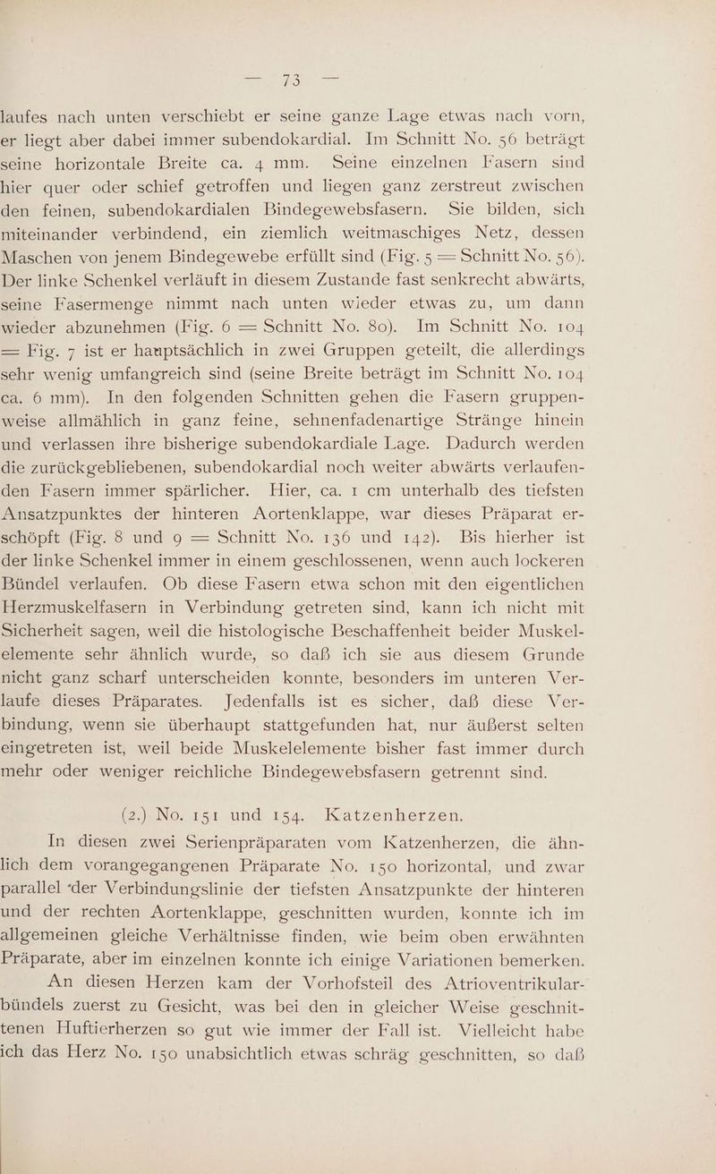 laufes nach unten verschiebt er seine ganze Lage etwas nach vorn, er liegt aber dabei immer subendokardial. Im Schnitt No. 56 beträgt seine horizontale Breite ca. 4 mm. Seine einzelnen Fasern sind hier quer oder schief getroffen und liegen ganz zerstreut zwischen den feinen, subendokardialen Bindegewebsfasern. Sie bilden, sich miteinander verbindend, ein ziemlich weitmaschiges Netz, dessen Maschen von jenem Bindegewebe erfüllt sind (Fig. 5 = Schnitt No. 56). Der linke Schenkel verläuft in diesem Zustande fast senkrecht abwärts, seine Fasermenge nimmt nach unten wieder etwas zu, um dann wieder abzunehmen (Fig. 6 — Schnitt No. 80). Im Schnitt No. 104 — Fig. 7 ist er hauptsächlich in zwei Gruppen geteilt, die allerdings sehr wenig umfangreich sind (seine Breite beträgt im Schnitt No. 104 ca. 6 mm). In den folgenden Schnitten gehen die Fasern gruppen- weise allmählich in ganz feine, sehnenfadenartige Stränge hinein und verlassen ihre bisherige subendokardiale Lage. Dadurch werden die zurückgebliebenen, subendokardial noch weiter abwärts verlaufen- den Fasern immer spärlicher. Hier, ca. ı cm unterhalb des tiefsten Ansatzpunktes der hinteren Aortenklappe, war dieses Präparat er- Shöopfe (Fio.3 und 9 —= Schnitt No. 136 und 142). Bis hierher ist der linke Schenkel immer in einem geschlossenen, wenn auch lockeren Bündel verlaufen. Ob diese Fasern etwa schon mit den eigentlichen Herzmuskelfasern in Verbindung getreten sind, kann ich nicht mit Sicherheit sagen, weil die histologische Beschaffenheit beider Muskel- elemente sehr ähnlich wurde, so daß ich sie aus diesem Grunde nicht ganz scharf unterscheiden konnte, besonders im unteren Ver- laufe dieses Präparates. Jedenfalls ist es sicher, daß diese Ver- bindung, wenn sie überhaupt stattgefunden hat, nur äußerst selten eingetreten ist, weil beide Muskelelemente bisher fast immer durch mehr oder weniger reichliche Bindegewebsfasern getrennt sind. (2.) No. ı5ı und 154. Katzenherzen. In diesen zwei Serienpräparaten vom Katzenherzen, die ähn- lich dem vorangegangenen Präparate No. ı50 horizontal, und zwar parallel ‘der Verbindungslinie der tiefsten Ansatzpunkte der hinteren und der rechten Aortenklappe, geschnitten wurden, konnte ich im allgemeinen gleiche Verhältnisse finden, wie beim oben erwähnten Präparate, aber im einzelnen konnte ich einige Variationen bemerken. An diesen Herzen kam der Vorhofsteil des Atrioventrikular- bündels zuerst zu Gesicht, was bei den in gleicher Weise geschnit- tenen Huftierherzen so gut wie immer der Fall ist. Vielleicht habe ich das Herz No. ı50 unabsichtlich etwas schräg geschnitten, so daß