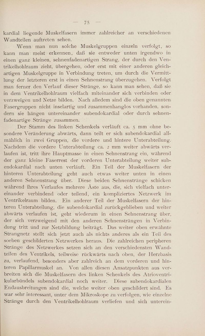 ea kardial liegende Muskelfasern immer zahlreicher an verschiedenen Wandteilen auftreten sehen. Wenn’ man nun solche Muskelgruppen einzeln verfolgt, so kann man’ meist erkennen, daß sie entweder unten irgendwo in einen ganz kleinen, sehnenfadenartigen Strang, der durch den Ven- trikelhohlraum zieht, übergehen, oder erst mit einer anderen gleich- artigen Muskelgruppe in Verbindung treten, um durch die Vermitt- lung der letzteren erst in einen Sehnenstrang überzugehen. Vertolgt man ferner. den Verlauf dieser Stränge, so kann man sehen, daß sie in dem Ventrikelhohlraum vielfach miteinander sich verbinden oder verzweigen und Netze bilden. Nach alledem sind die oben genannten Fasergruppen nicht inselartig und zusammenhanglos vorhanden, son- dern sie hängen untereinander subendokardial oder durch sehnen- fadenartige Stränge zusammen. Der Stamm des linken Schenkels verläuft ca. 5 mm ohne be- sondere Veränderung abwärts, dann teilt er sich subendokardial all- mählich in zwei Gruppen, die vordere und hintere Unterabteilung. Nachdem die vordere Unterabteilung ca. 2 mm weiter abwärts ver- laufen ist, tritt ihre Hauptmasse in einen Sehnenstrang ein, während der ganz kleine Faserrest der vorderen Unterabteilung weiter sub- endokardial nach unten verläuft. Ein Teil der Muskelfasern der hinteren Unterabteilung geht auch etwas weiter unten in einen anderen Sehnenstrang über. Diese beiden Sehnenstränge schicken während ihres Verlaufes mehrere Äste aus, die, sich vielfach unter- einander verbindend oder teilend, ein kompliziertes Netzwerk im Ventrikelraum bilden. Fin anderer Teil der Muskelfasern der hin- teren Unterabteilung, die subendokardial zurückgeblieben und weiter abwärts verlaufen ist, geht wiederum in einen Sehnenstrang über, der sich verzweigend mit den anderen Sehnensträngen in Verbin- dung tritt und zur Netzbildung beiträgt. Das weiter oben erwähnte Strangnetz stellt sich jetzt auch als nichts anderes als ein Teil des soeben geschilderten Netzwerkes heraus. Die zahlreichen peripheren Stränge des Netzwerkes setzen sich an den verschiedensten Wand- teilen des Ventrikels, teilweise rückwärts nach oben, der Herzbasis zu, verlaufend, besonders aber zahlreich an dem vorderen und hin- teren Papillarmuskel an. Von allen diesen Ansatzpunkten aus ver- breiten sich die Muskelfasern des linken Schenkels des Atrioventri- kularbündels subendokardial noch weiter. Diese subendokardialen Endausbreitungen sind die, welche weiter oben geschildert sind. Es war sehr interessant, unter dem Mikroskope zu verfolgen, wie einzelne Stränge durch den Ventrikelhohlraum verliefen und sich unterein-
