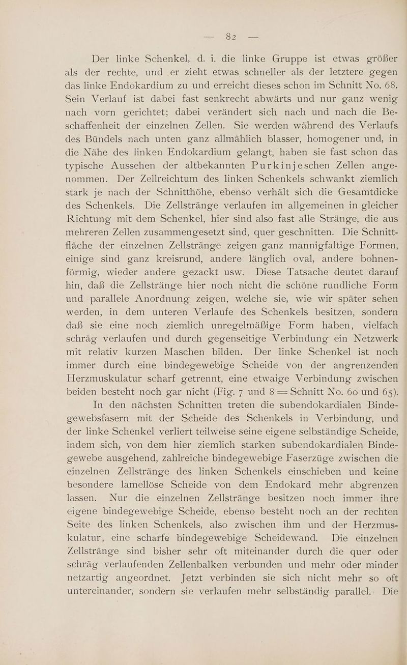 Be Der linke Schenkel, d. i. die linke Gruppe ist etwas größer als der rechte, und er zieht etwas schneller als der letztere gegen das linke Endokardium zu und erreicht dieses schon im Schnitt No. 68. Sein Verlauf ist dabei fast senkrecht abwärts und nur ganz wenig nach vorn gerichtet; dabei verändert sich nach und nach die Be- schaffenheit der einzelnen Zellen. Sie werden während des Verlaufs des Bündels nach unten ganz allmählich blasser, homogener und, in die Nähe des linken Endokardium gelangt, haben sie fast schon das typische Aussehen der altbekannten Purkinjeschen Zellen ange- nommen. Der Zellreichtum des linken Schenkels schwankt ziemlich stark je nach der Schnitthöhe, ebenso verhält sich die Gesamtdicke des Schenkels. Die Zellstränge verlaufen im allgemeinen in gleicher Richtung mit dem Schenkel, hier sind also fast alle Stränge, die aus mehreren Zellen zusammengesetzt sind, quer geschnitten. Die Schnitt- fläche der einzelnen Zellstränge zeigen ganz mannigfaltige Formen, einige sind ganz kreisrund, andere länglich oval, andere bohnen- förmig, wieder andere gezackt usw. Diese Tatsache deutet darauf hin, daß die Zellstränge hier noch nicht die schöne rundliche Form und parallele Anordnung zeigen, welche sie, wie wir später sehen werden, in dem unteren Verlaufe des Schenkels besitzen, sondern daß sie eine noch ziemlich unregelmäßige Form haben, vielfach schräg verlaufen und durch gegenseitige Verbindung ein Netzwerk mit relativ kurzen Maschen bilden. Der linke Schenkel ist noch immer durch eine bindegewebige Scheide von der angrenzenden Herzmuskulatur scharf getrennt, eine etwaige Verbindung zwischen beiden besteht noch gar nicht (Fig. 7 und 8—= Schnitt No. 60 und 65). In den nächsten Schnitten treten die subendokardialen Binde- gewebsfasern mit der Scheide des Schenkels in Verbindung, und der linke Schenkel verliert teilweise seine eigene selbständige Scheide, indem sich, von dem hier ziemlich starken subendokardialen Binde- gewebe ausgehend, zahlreiche bindegewebige Faserzüge zwischen die einzelnen Zellstränge des linken Schenkels einschieben und keine besondere lamellöse Scheide von dem Endokard mehr abgrenzen lassen. Nur die einzelnen Zellstränge besitzen noch immer ihre eigene bindegewebige Scheide, ebenso besteht noch an der rechten Seite des linken Schenkels, also zwischen ihm und der Herzmus- kulatur, eine scharfe bindegewebige Scheidewand. Die einzelnen /ellstränge sind bisher sehr oft miteinander durch die quer oder schräg verlaufenden Zellenbalken verbunden und mehr oder minder netzartig angeordnet. Jetzt verbinden sie sich nicht mehr so oft untereinander, sondern sie verlaufen mehr selbständig parallel. Die