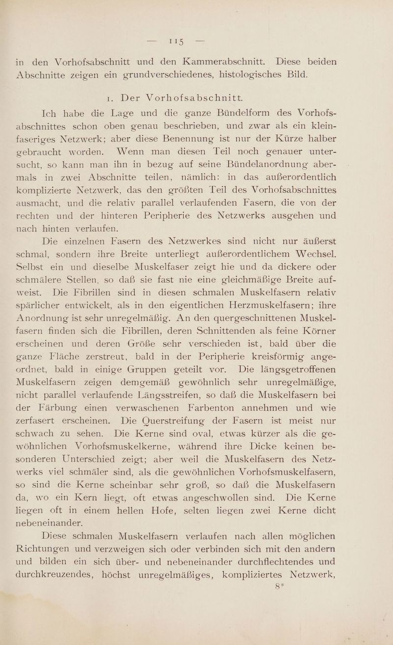 in den Vorhofsabschnitt und den Kammerabschnitt. Diese beiden Abschnitte zeigen ein grundverschiedenes, histologisches Bild. i. Der Verhofsabschaitt, Ich habe die Lage und die ganze Bündelform des Vorhofs- abschnittes schon oben genau beschrieben, und zwar als ein klein- faseriges Netzwerk; aber diese Benennung ist nur der Kürze halber gebraucht worden. Wenn man diesen Teil noch genauer unter- sucht, so kann man ihn in bezug auf seine Bündelanordnung aber- mals in zwei Abschnitte teilen, nämlich: in das außerordentlich komplizierte Netzwerk, das den größten Teil des Vorhofsabschnittes ausmacht, und die relativ parallel verlaufenden Fasern, die von der rechten und der hinteren Peripherie des Netzwerks ausgehen und nach hinten verlaufen. Die einzelnen Fasern des Netzwerkes sind nicht nur äußerst schmal, sondern ihre Breite unterliegt außerordentlichem Wechsel. Selbst ein und dieselbe Muskelfaser zeigt hie und da dickere oder schmälere Stellen, so daß sie fast nie eine gleichmäßige Breite auf- weist. Die Fibrillen sind in diesen schmalen Muskelfasern relativ spärlicher entwickelt, als in den eigentlichen Flerzmuskelfasern; ihre Anordnung ist sehr unregelmäßig. An den quergeschnittenen Muskel- fasern finden sich die Fibrillen, deren Schnittenden als feine Körner erscheinen und deren Größe sehr verschieden ist, bald über die ganze Fläche zerstreut, bald in der Peripherie kreisförmig ange- ordnet, bald in einige Gruppen geteilt vor. Die längsgetroffenen Muskelfasern zeigen demgemäß gewöhnlich sehr unregelmäßige, nicht parallel verlaufende Längsstreifen, so daß die Muskelfasern bei der Färbung einen verwaschenen Farbenton annehmen und wie zerfasert erscheinen. Die Querstreifung der Fasern ist meist nur schwach zu sehen. Die Kerne sind oval, etwas kürzer als die ge- wöhnlichen Vorhofsmuskelkerne, während ihre Dicke keinen be- sonderen Unterschied zeigt; aber weil die Muskelfasern des Netz- werks viel schmäler sind, als die gewöhnlichen Vorhofsmuskelfasern, so sind die Kerne scheinbar sehr groß, so dal die Muskelfasern da, wo ein Kern liegt, oft etwas angeschwollen sind. Die Kerne liegen oft in einem hellen Hofe, selten liegen zwei Kerne dicht nebeneinander. Diese schmalen Muskelfasern verlaufen nach allen möglichen Richtungen und verzweigen sich oder verbinden sich mit den andern und bilden ein sich über- und nebeneinander durchflechtendes und durchkreuzendes, höchst unregelmäßiges, kompliziertes Netzwerk, g*+
