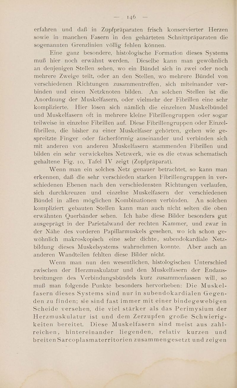 ae erfahren und daß in Zupfpräparaten frisch konservierter Herzen sowie in manchen Fasern in den gehärteten Schnittpräparaten die sogenannten Grenzlinien völlig fehlen können. Eine ganz besondere, histologische Formation dieses Systems muß hier noch erwähnt werden. Dieselbe kann man gewöhnlich an denjenigen Stellen sehen, wo ein Bündel sich in zwei oder noch mehrere Zweige teilt, oder an den Stellen, wo mehrere Bündel von verschiedenen Richtungen zusammentreffen, sich miteinander ver- binden und einen Netzknoten bilden. An solchen Stellen ist die Anordnung der Muskelfasern, oder vielmehr der Fibrillen eine sehr komplizierte. Hier lösen sich nämlich die einzelnen Muskelbündel und Muskelfasern oft in mehrere kleine Fibrillengruppen oder sogar teilweise in einzelne Fibrillen auf. Diese Fibrillengruppen oder Einzel- fibrillen, die bisher zu einer Muskelfaser gehörten, gehen wie ge- spreitzte Finger oder fächerförmig auseinander und verbinden sich mit anderen von anderen Muskelfasern stammenden Fibrillen und bilden ein sehr verwickeltes Netzwerk, wie es die etwas schematisch gehaltene Fig. 10, Tafel IV zeigt (Zupfpräparat). Wenn man ein solches Netz genauer betrachtet, so kann man erkennen, daß die sehr verschieden starken Fibrillengruppen in ver- schiedenen Ebenen nach den verschiedensten Richtungen verlauien, sich durchkreuzen und einzelne Muskelfasern der verschiedenen Bündel in allen möglichen Kombinationen verbinden. An solchen kompliziert gebauten Stellen kann man auch nicht selten die oben erwähnten Querbänder sehen. Ich habe diese Bilder besonders gut ausgeprägt in der Parietalwand der rechten Kammer, und zwar in der Nähe des vorderen Papillarmuskels gesehen, wo ich schon ge- wöhnlich makroskopisch eine sehr dichte, subendokardiale Netz- bildung dieses Muskelsystems wahrnehmen konnte. Aber auch an anderen Wandteilen fehlten diese Bilder nicht. Wenn man nun den wesentlichen, histologischen Unterschied zwischen der Herzmuskulatur und den Muskelfasern der Endaus- breitungen des Verbindungsbündels kurz zusammenfassen will, so muß man folgende Punkte besonders hervorheben: Die Muskel- fasern dieses Systems sind nurin subendokardialen Gegen- den zu finden; sie sind fast immer mit einer bindegewebigen Scheide versehen, die viel stärker als das Perimysium der Herzmuskulatur ist und dem Zerzupfen große Schwierig- keiten bereitet. Diese Muskelfasern sind meist aus zahl- reichen, hintereinander liegenden, relativ kurzen und breitenSarcoplasmaterritorien zusammengesetzt und zeigen