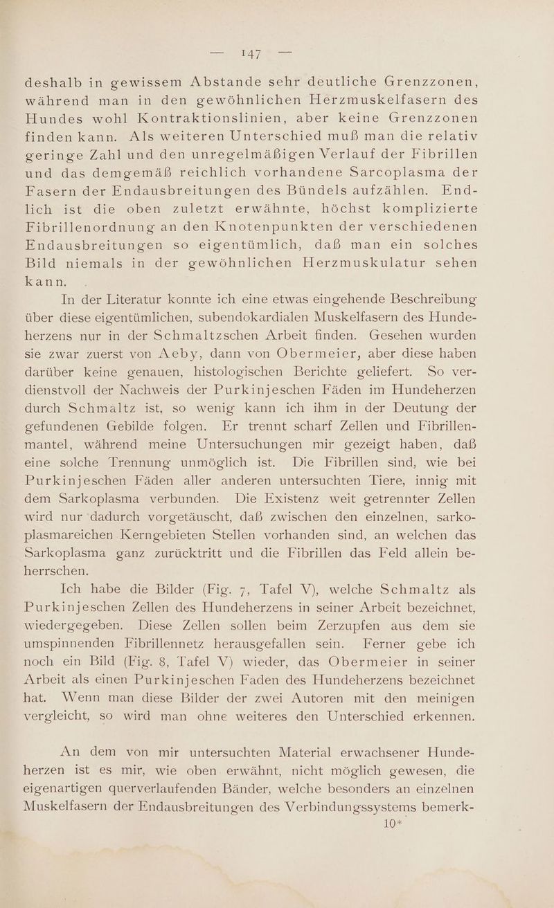 deshalb in gewissem Abstande sehr deutliche Grenzzonen, während man in den gewöhnlichen Herzmuskelfasern des Hundes wohl Kontraktionslinien, aber keine Grenzzonen finden kann. Als weiteren Unterschied muß man die relativ geringe Zahl und den unregelmäßigen Verlauf der Fibrillen und das demgemäß reichlich vorhandene Sarcoplasma der Fasern der Endausbreitungen des Bündels aufzählen. End- Iccheist die open 'zuletzt»erwähnte, höchst komplizierte Fibrillenordnung an den Knotenpunkten der verschiedenen Endausbreitunsen soseigentümlich, daß man ein. solches Bild niemals in der gewöhnlichen Herzmuskulatur sehen kann. In der Literatur konnte ich eine etwas eingehende Beschreibung über diese eigentümlichen, subendokardialen Muskelfasern des Hunde- herzens nur in der Schmaltzschen Arbeit finden. Gesehen wurden sie zwar zuerst von Aeby, dann von Obermeier, aber diese haben darüber keine genauen, histologischen Berichte geliefert. So ver- dienstvoll der Nachweis der Purkinjeschen Fäden im Hundeherzen durch Schmaltz ist, so wenig kann ich ihm in der Deutung der gefundenen Gebilde folgen. Er trennt scharf Zellen und Fibrillen- mantel, während meine Untersuchungen mir gezeigt haben, daß eine solche Trennung unmöglich ist. Die Fibrillen sind, wie bei Purkinjeschen Fäden aller anderen untersuchten Tiere, innig mit dem Sarkoplasma verbunden. Die Existenz weit getrennter Zellen wird nur ‘dadurch vorgetäuscht, daß zwischen den einzelnen, sarko- plasmareichen .Kerngebieten Stellen vorhanden sind, an welchen das Sarkoplasma ganz zurücktritt und die Fibrillen das Feld allein be- herrschen. Ich habe die Bilder (Fig. ,, Tafel V), welche Schmaltz als Purkinjeschen Zellen des Hundeherzens in seiner Arbeit bezeichnet, wiedergegeben. Diese Zellen sollen beim Zerzupfen aus dem sie umspinnenden Fibrillennetz herausgefallen sein. Ferner gebe ich noch ein Bild (Fig. 8, Tafel V) wieder, das Obermeier in seiner Arbeit als einen Purkinjeschen Faden des Hundeherzens bezeichnet hat. Wenn man diese Bilder der zwei Autoren mit den meinigen vergleicht, so wird man ohne weiteres den Unterschied erkennen. An dem von mir untersuchten Material erwachsener Hunde- herzen ist es mir, wie oben erwähnt, nicht möglich gewesen, die eigenartigen querverlaufenden Bänder, welche besonders an einzelnen Muskelfasern der Endausbreitungen des Verbindungssystems bemerk- 10*