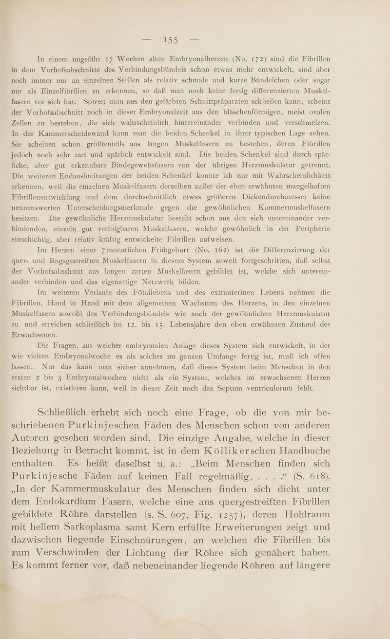 In einem ungefähr 17 Wochen alten Embryonalherzen (No. 172) sind die Fibrillen in dem Vorhofsabschnitte des Verbindungsbündels schon etwas mehr entwickelt, sind aber noch immer nur an einzelnen Stellen als relativ schmale und kurze Bündelchen oder sogar nur als Einzelfibrillen zu erkennen, so daß man noch keine fertig differenzierten Muskel- fasern vor sich hat. Soweit man aus den gefärbten Schnittpräparaten schließen kann, scheint der Vorhofsabschnitt noch in dieser Embryonalzeit aus den bläschenförmigen, meist ovalen Zellen zu bestehen, die sich wahrscheinlich hintereinander verbinden und verschmelzen. In der Kammerscheidewand kann man die beiden Schenkel in ihrer typischen Lage sehen. Sie scheinen schon größtenteils aus langen Muskelfasern zu bestehen, deren Fibrillen jedoch noch sehr zart und spärlich entwickelt sind. Die beiden Schenkel sind durch spär- liche, aber gut erkennbare Bindegewebsfasern von der übrigen Herzmuskulatur getrennt. Die weiteren Endausbreitungen der beiden Schenkel konnte ich nur mit Wahrscheinlichkeit erkennen, weil die einzelnen Muskelfasern derselben außer der eben erwähnten mangelhaften Fibrillenentwicklung und dem durchschnittlich etwas größeren Dickendurchmesser keine nennenswerten Unterscheidungsmerkmale gegen die gewöhnlichen Kammermuskelfasern besitzen. Die gewöhnliche Herzmuskulatur besteht schon aus den sich untereinander ver- bindenden, einzeln gut verfolgbaren Muskelfasern, welche gewöhnlich in der Peripherie einschichtig, aber relativ kräftig entwickelte Fibrillen aufweisen. Im Herzen einer 7 monatlichen Frühgeburt (No. 162) ist die Differenzierung der quer- und längsgestreiften Muskelfasern in diesem System soweit fortgeschritten, daß selbst der Vorhofsabschnitt aus langen zarten Muskelfasern gebildet ist, welche sich unterein- ander verbinden und das eigenartige Netzwerk bilden. Im weiteren Verlaufe des Fötallebens und des extrauterinen Lebens nehmen die Fibrillen, Hand in Hand mit dem allgemeinen Wachstum des Herzens, in den einzelnen Muskelfasern sowohl des Verbindungsbündels wie auch der gewöhnlichen Herzmuskulatur zu und erreichen schließlich im ı2. bis 15. Lebensjahre den oben erwähnten Zustand des Erwachsenen. Die Fragen, aus welcher embryonalen Anlage dieses System sich entwickelt, in der wie vielten Embryonalwoche es als solches ım ganzen Umfange fertig ist, muß ich offen lassen. Nur das kann man sicher annehmen, daß dieses System beim Menschen in den ersten 2 bis 3 Embryonalwochen nicht als ein System, welches im erwachsenen Herzen sichtbar ist, existieren kann, weil in dieser Zeit noch das Septum ventriculorum fehlt. Schließlich erhebt sich noch eine Frage, ob die von mir be- schriebenen Purkinjeschen Fäden des Menschen schon von anderen Autoren gesehen worden sind. Die einzige Angabe, welche in dieser Beziehung in Betracht kommt, ist in dem Köllikerschen Handbuche enthalten. Es heißt daselbst u. a.: „Beim Menschen finden sich Purkinjesche Fäden auf keinen Fall regelmäßig, ... .“ (S. 618). „In der Kammermuskulatur des Menschen finden sich dicht unter dem Endokardium Fasern, welche eine aus quergestreiften Fibrillen gebildete Röhre darstellen (s. S. 607, Fig. 1257), deren Hohlraum mit hellem Sarkoplasma samt Kern erfüllte Erweiterungen zeigt und dazwischen liegende Einschnürungen, an welchen die Fibrillen bis zum Verschwinden der Lichtung der Röhre sich genähert haben. Es kommt ferner vor, daß nebeneinander liegende Röhren auf längere