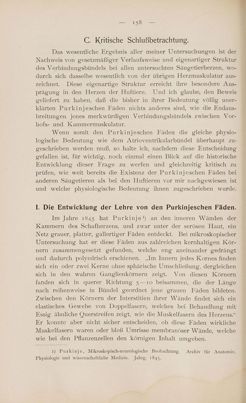 C. Kritische Schlußbetrachtung. Das wesentliche Ergebnis aller meiner Untersuchungen ist der Nachweis von gesetzmäßiger Verlaufsweise und eigenartiger Struktur des Verbindungsbündels bei allen untersuchten Säugetierherzen, wo- durch sich dasselbe wesentlich von der übrigen Herzmuskulatur aus- zeichnet. Diese eigenartige Struktur erreicht ihre besondere Aus- prägung in den Herzen der Huftiere. Und ich glaube, den Beweis geliefert zu haben, daß die bisher in ihrer Bedeutung völlig uner- klärten Purkinjeschen Fäden nichts anderes sind, wie die Endaus- breitungen jenes merkwürdigen Verbindungsbündels zwischen Vor- hofs- und Kammermuskulatur. Wenn somit den Purkinjeschen Fäden die gleiche physio- logische Bedeutung wie dem Atrioventrikularbündel überhaupt zu- geschrieben werden muß, so halte ich, nachdem diese Entscheidung gefallen ist, für wichtig, noch einmal einen Blick auf die historische Entwicklung dieser Frage zu werfen und gleichzeitig kritisch zu prüfen, wie weit bereits die Existenz der Purkinjeschen Fäden bei anderen Säugetieren als bei den Huftieren vor mir nachgewiesen ist und welche physiologische Bedeutung ihnen zugeschrieben wurde. I. Die Entwicklung der Lehre von den Purkinjeschen Fäden. Im Jahre 1845 hat Purkinje!) an den inneren Wänden der Kammern des Schafherzens, und zwar unter der serösen Haut, ein Netz grauer, platter, gallertiger Fäden entdeckt. Bei mikroskopischer Untersuchung hat er diese Fäden aus zahlreichen kernhaltigen Kör- nern zusammengesetzt gefunden, welche eng aneinander gedrängt und dadurch polyedrisch erschienen. „Im Innern jedes Kornes finden sich ein oder zwei Kerne ohne sphärische Umschließung, dergleichen sich in den wahren Ganglienkörnern zeigt. Von diesen Körnern fanden sich in querer Richtung 5—ıo beisammen, die der Länge nach reihenweise in Bündel geordnet jene grauen Fäden bildeten. Zwischen den Körnern der Interstitien ihrer Wände findet sich ein elastisches Gewebe von Doppelfasern, welches bei Behandlung mit Essig ähnliche Querstreifen zeigt, wie die Muskelfasern des Herzens.“ Er konnte aber nicht sicher entscheiden, ob diese Fäden wirkliche Muskelfasern waren oder bloß Umrisse membranöser Wände, welche wie bei den Pflanzenzellen den körnigen Inhalt umgeben. 1) Purkinje, Mikroskopisch-neurologische Beobachtung. Archiv für Anatomie, Physiologie und wissenschaftliche Medizin. Jahrg. 1845.