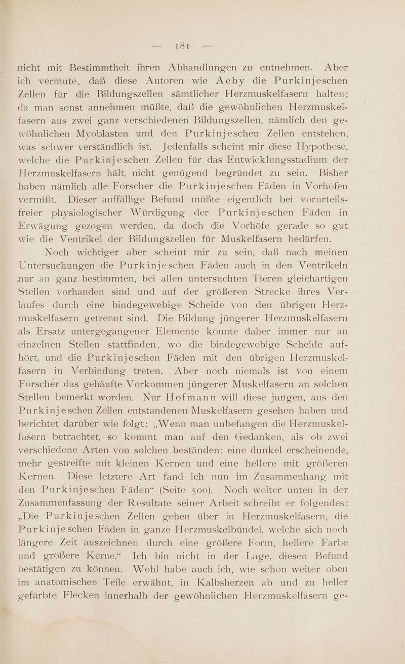a N nicht mit Bestimmtheit ihren Abhandlungen zu entnehmen. Aber ich vermute, daß diese Autoren wie Aeby die Purkinjeschen Zellen für die Bildungszellen sämtlicher Herzmuskelfasern halten; da man sonst annehmen müßte, daß die gewöhnlichen Herzmuskel- fasern aus zwei ganz verschiedenen Bildungszellen, nämlich den ge- wöhnlichen Myoblasten und den Purkinjeschen Zellen entstehen, was schwer verständlich ist. Jedenfalls scheint mir diese Hypothese, welche die Purkinjeschen Zellen für das Entwicklungsstadium der Herzmuskelfasern hält, nicht genügend begründet zu sein. Bisher haben nämlich alle Forscher die Purkinjeschen Fäden in Vorhöfen vermißt. Dieser auffällige Befund müßte eigentlich bei vorurteils- freier physiologischer Würdigung der Purkinjeschen Fäden in Erwägung gezogen werden, da doch die Vorhöfe gerade so gut wie die Ventrikel der Bildungszellen für Muskelfasern bedürfen. Noch wichtiger aber scheint mir zu sein, daß nach meinen Untersuchungen die Purkinjeschen Fäden auch in den Ventrikeln nur an ganz bestimmten, bei allen untersuchten Tieren gleichartigen Stellen vorhanden sind und auf der größeren Strecke ihres Ver- laufes durch eine bindegewebige Scheide von den übrigen Herz- muskelfasern getrennt sind. Die Bildung jüngerer Herzmuskelfasern als Ersatz untergegangener Elemente könnte daher immer nur an einzelnen Stellen stattfinden, wo die bindegewebige Scheide auf- hört, und die Purkinjeschen Fäden mit den übrigen Herzmuskel- fasern in Verbindung treten. Aber noch niemals ist von einem Forscher das gehäufte Vorkommen jüngerer Muskelfasern an solchen Stellen bemerkt worden. Nur Hofmann will diese jungen, aus den Purkinjeschen Zellen entstandenen Muskelfasern gesehen haben und berichtet darüber wie folgt: „Wenn man unbefangen die Herzmuskel- fasern betrachtet, so kommt man auf den (sedanken, als ob zwei verschiedene Arten von solchen beständen; eine dunkel erscheinende, mehr gestreifte mit kleinen Kernen und eine hellere mit größeren Kernen. Diese letztere Art fand ich nun im Zusammenhang mit den Purkinjeschen Fäden“ (Seite 500). Noch weiter unten in der Zusammenfassung der Resultate seiner Arbeit schreibt er folgendes: „Die Purkinjeschen Zellen gehen über in Herzmuskelfasern, die Purkinjeschen Fäden in ganze Herzmuskelbündel, welche sich noch längere Zeit auszeichnen durch eine größere Form, hellere Farbe und größere Kerne“ Ich bin nicht in der Lage, diesen Befund bestätigen zu können. Wohl habe auch ich, wie schon weiter oben im anatomischen Teile erwähnt, in Kalbsherzen ab und zu heller gefärbte Flecken innerhalb der gewöhnlichen Herzmuskelfasern ge-
