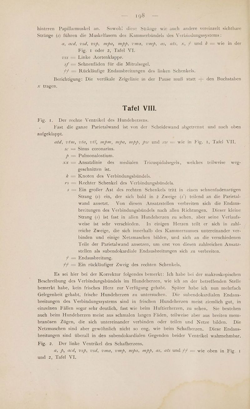 ae hinteren Papillarmuskel an. Sowohi diese Stiänge wie auch andere vereinzelt sichtbare Stränge (s) führen die Muskelfasern des Kammerbündels des Verbiudungssystems: a, acd, vsd, vsp, mpa, mp, vma, vmd, as, ats, x, f und Z = wie in der Rig.1 oder 2, Dafel VE vss — Linke Aortenklappe. sf — Sehnenfäden für die Mitralsegel. 77 = Rückläufige Endausbreitungen des linken Schenkels. Berichtigung: Die vertikale Zeigelinie in der Pause muß statt — den Buchstaben x tragen, Tafel VII. Fig. 1. Der rechte Ventrikel des Hundeherzens. : Fast die ganze Parietalwand ist von der Scheidewand abgetrennt und nach oben aufgeklappt. atd, vtm, via, vel, mpm, mpa, mpp, Bw und sw = wie in Fig. ı, Tafel VII. sc = Sinus coronarius. De Pulmonalostium. xx — Ansatzlinie des medialen Tricuspidalsegels, welches teilweise weg- geschnitten ist. % —= Knoten des Verbindungsbündels. rs — Rechter Schenkel des Verbindungsbündels. | Ein großer Ast des rechten Schenkels tritt in einen sehnenfadenartigen Strang (s) ein, der sich bald in 2 Zweige (s’) teilend an die Parietal- wand ansetzt. Von diesen Ansatzstellen verbreiten sich die Endaus- breitungen des Verbindungsbündels nach allen Richtungen. Dieser kleine Strang (s) ist fast in allen Hundeherzen zu sehen, aber seine Verlaufs- weise ist sehr verschieden. In einigen Herzen teilt er sich in zahl- reiche Zweige, die sich innerhalb des Kammerraumes untereinander ver- binden und einige Netzmaschen bilden, und sich an die verschiedenen Teile der Parietalwand ansetzen, um erst von diesen zahlreichen Ansatz- stellen als subendokardiale Endausbreitungen sich zu verbreiten. , 7 = Endausbreitung. 7f = Ein rückläufiger Zweig des rechten Schenkels. Es sei hier bei der Korrektur folgendes bemerkt: Ich habe bei der makroskopischen Beschreibung des Verbindungsbündels im Hundcherzen, wie ich an der betreffenden Stelle bemerkt habe, kein frisches Herz zur Verfügung gehabt. Später habe ich nun mehrfach Gelegenheit gehabt, frische Hundeherzen zu untersuchen. Die subendokardialen Endaus- breitungen des Verbindungssystems sind in frischen Hundeherzen meist ziemlich gut, in einzelnen Fällen sogar sehr deutlich, fast wie beim Huftierherzen, zu sehen. Sie bestehen auch beim Hundeherzen meist aus schmalen langen Fäden, teilweise aber aus breiten mem- branösen Zügen, die sich untereinander verbinden oder teilen und Netze bilden. Die Netzmaschen sind aber gewöhnlich nicht so eng, wie beim Schafherzen. Diese Endaus- breitungen sind überall in den subendokardialen Gegenden beider Ventrikel wahrnehmbar. Fig. 2. Der linke Ventrikel des Schafherzens. a, P, acd, vsp, vsd, vma, vmp, mpa, mpp, as, ats und ’f = wie oben in Fig, I undez* Tate} »V1.