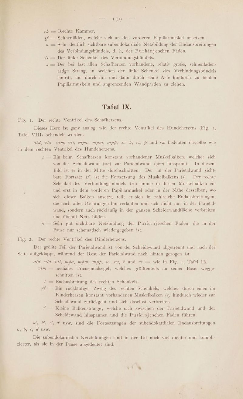 2 = Rechte Kammer. sf = Sehnenfäden, welche sich an den vorderen Papillarmuskel ansetzen. rn — Sehr deutlich sichtbare subendokardiale Netzbildung der Endausbreitungen des Verbindungsbündels, d. h. der Purkinjeschen Fäden. /s = Der linke Schenkel des Verbindungsbündels. s — Der bei fast allen Schafherzen vorhandene, relativ große, sehnenfaden- artige Strang, in welchen der linke Schenkel des Verbindungsbündels eintritt, um durch ihn und dann durch seine Äste hindurch zu beiden Papillarmuskeln und angrenzenden Wandpartien zu ziehen. Tafel IX. Fig. 1. Der rechte Ventrikel des Schafherzens. Dieses Herz ist ganz analog wie der rechte Ventrikel des Hundeherzens (Fig. I, Tafel VIII) behandelt worden. atd, via, vim, vil, mpa, mpm, mfß, sc, k, rs, 5 und sw bedeuten dasselbe wie in dem rechten Ventrikel des Hundeherzens. s — Ein beim Schafherzen konstant vorhandener Muskelbalken, welcher sich von der Scheidewand (sw) zur Parietalwand (Zw) hinspannt. In diesem Bild ist er in der Mitte durchschritten. Der an der Parietalwand sicht- bare Fortsatz (s’) ist die Fortsetzung des Muskelbalkens (s). Der rechte Schenkel des Verbindungsbündels tritt immer in diesen Muskelbalken ein und erst in dem vorderen Papillarmuskel oder in der Nähe desselben, wo sich dieser Balken ansetzt, teilt er sich in zahlreiche Endausbreitungen, die nach allen Richtungen hin verlaufen und sich nicht nur in der Parietal- wand, sondern auch rückläufig in der ganzen Scheidewandfläche verbreiten und überall Netz bilden. n —= Sehr gut sichtbare Netzbildung der Purkinjeschen Fäden, die in der Pause nur schematisch wiedergegeben ist. Fig. 2. Der rechte Ventrikel des Rinderherzens. Der größte Teil der Parietalwand ist von der Scheidewand abgetrennt und nach der Seite aufgekiappt, während der Rest der Parietalwand nach hinten gezogen ist. atd, via, vll, mpa, mpm, mpß, sc, sw, k und rs = wie in Fig. ı, Tafel IX. vtm — mediales Tricuspidalsegel, welches größtenteils an seiner Basis wegge- schnitten ist. 7 = Endausbreitung des rechten Schenkels. ’f = Ein rückläufiger Zweig des rechten Schenkels, welcher durch einen im Rinderherzen konstant vorhandenen Muskelbalken /s) hindurch wieder zur Scheidewand zurückgeht und sich daselbst verbreitet. s —= Kleine Balkenstränge, welche sich zwischen der Parietalwand und der Scheidewand hinspannen und die Purkinjeschen Fäden führen. a‘, b!, c', d' usw. sind die Fortsetzungen der subendokardialen Endausbreitungen d,d, 6, @ usw. Die subendokardialen Netzbildungen sind in der Tat noch viel dichter und kompli- zierter, als sie in der Pause angedeutet sind.