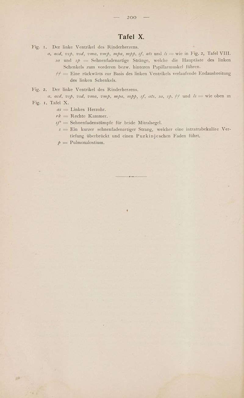 Tafel X. AYA/ vsp, vsd, vma, vmp, mpa, mpp, sf, ats und /s —= wie in Fig. 2, Tafel VIII. und sd — Sehnenfadenartige Stränge, welche die Hauptäste des linken Schenkels zum vorderen bezw. hinteren Papillarmuskel führen. des linken Schenkels. Tips rLatel as rk x = Dinkes-Herzohr. — Rechte Kammer. — Sehnenfadenstümpfe für beide Mitralsegel. — Ein kurzer sehnenfadenartiger Strang, welcher eine intratrabekuläie Ver- tiefung überbrückt und einen Purkinjeschen Faden führt. — Pulmonalostium.