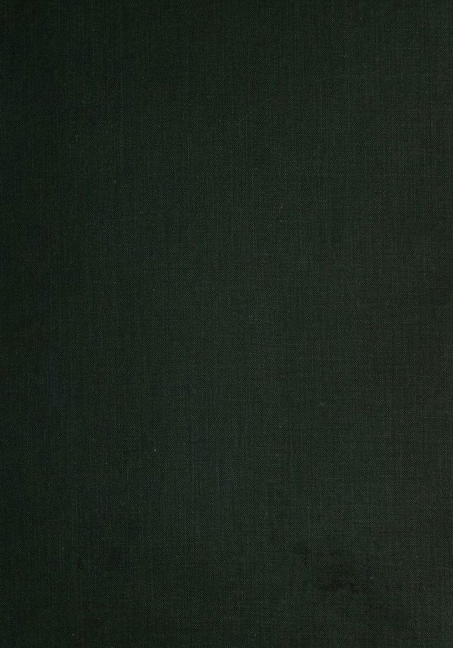 digitised image 1