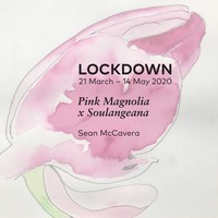 view Lockdown 21 March - 14 May 2020 : pink magnolia x soulangeana / Sean McCavera.