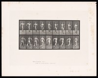 view A man speed-walking. Collotype after Eadweard Muybridge, 1887.