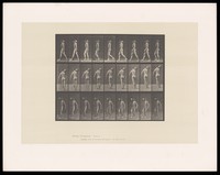 view A man bearing load on shoulder. Collotype after Eadweard Muybridge, 1887.