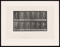 view A man taking off his hat. Collotype after Eadweard Muybridge, 1887.