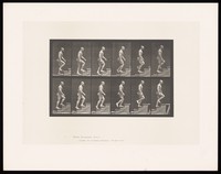 view A man walking up stairs. Collotype after Eadweard Muybridge, 1887.