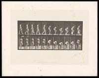 view A woman picking up a piece of cloth. Collotype after Eadweard Muybridge, 1887.