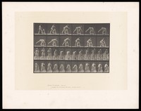 view A woman leaning over a trestle to pick up a pot. Collotype after Eadweard Muybridge, 1887.