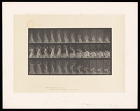 view A woman taking a pot from her head and putting on ground. Collotype after Eadweard Muybridge, 1887.