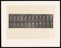 view A man rising from a chair. Collotype after Eadweard Muybridge, 1887.