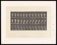 view A woman sitting down on a chair and drinking out of a cup. Collotype after Eadweard Muybridge, 1887.