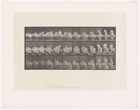 view A woman getting out of a bed. Collotype after Eadweard Muybridge, 1887.