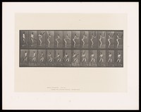 view A man batting. Collotype after Eadweard Muybridge, 1887.