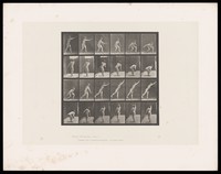 view A male discus thrower. Collotype after Eadweard Muybridge, 1887.