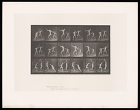 view Two men fencing. Collotype after Eadweard Muybridge, 1887.