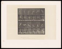 view A man performing a flying somersault. Collotype after Eadweard Muybridge, 1887.