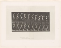 view A man walking on his hands. Collotype after Eadweard Muybridge, 1887.