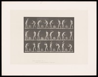 view Two blacksmiths. Collotype after Eadweard Muybridge, 1887.