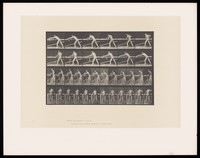 view A carpenter planing. Collotype after Eadweard Muybridge, 1887.