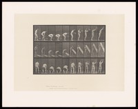 view A man lifting a trunk. Collotype after Eadweard Muybridge, 1887.