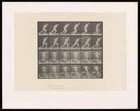 view A man pushing a roller. Collotype after Eadweard Muybridge, 1887.
